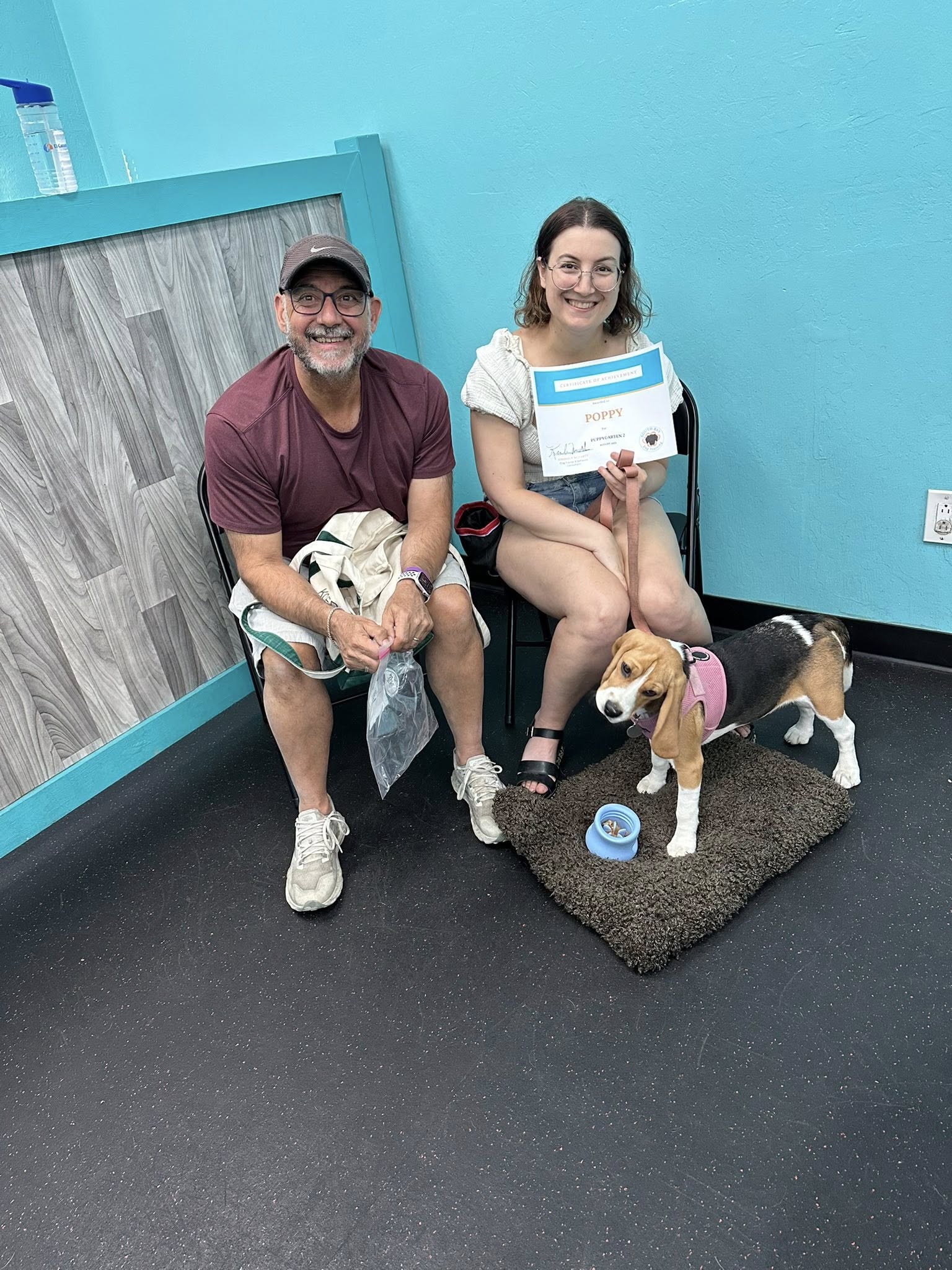 South Bay Dog Training Campbell