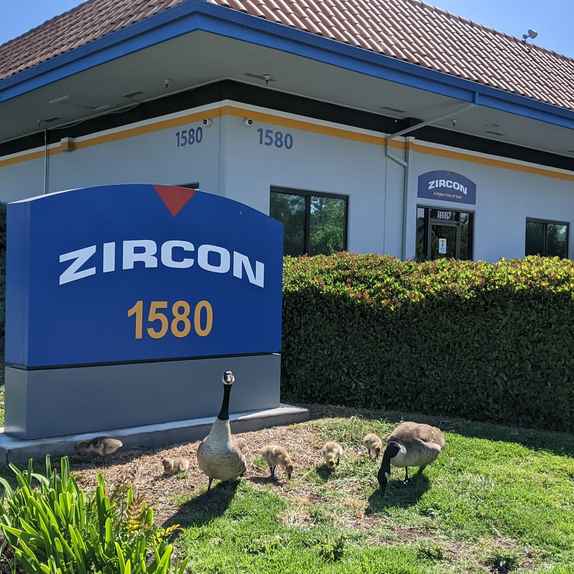 Zircon Corporation Campbell