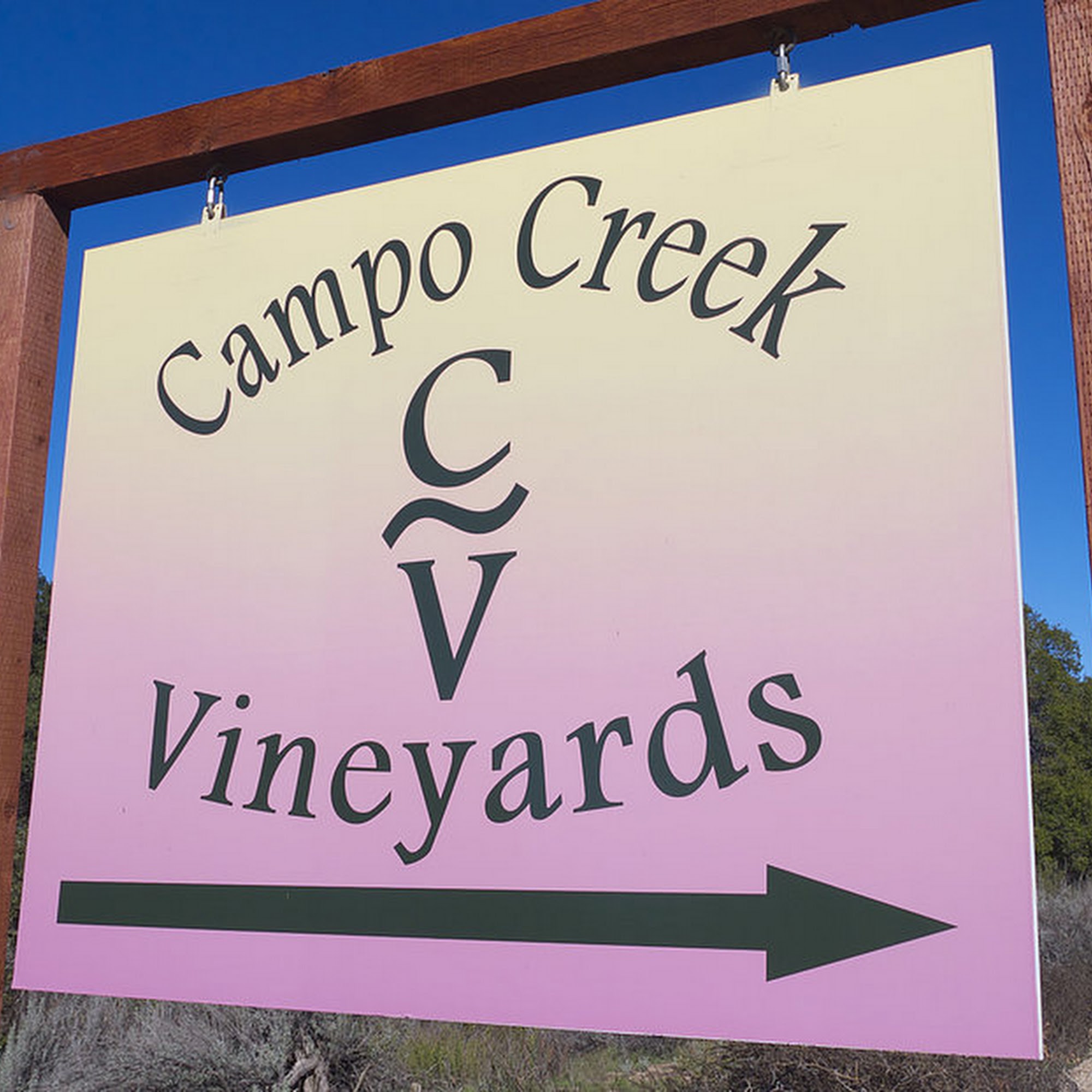 Campo Creek Vineyards Campo