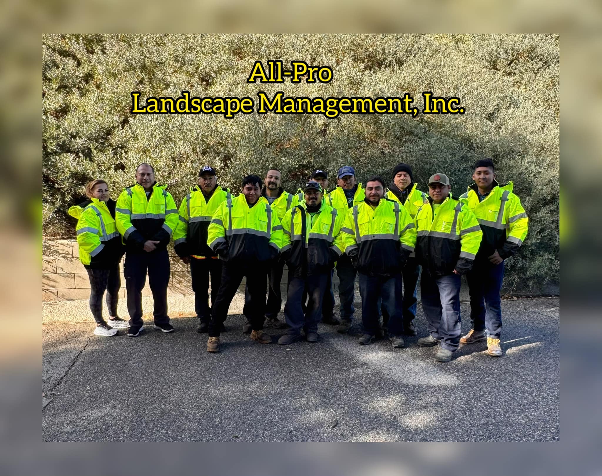 All Pro Landscape Management