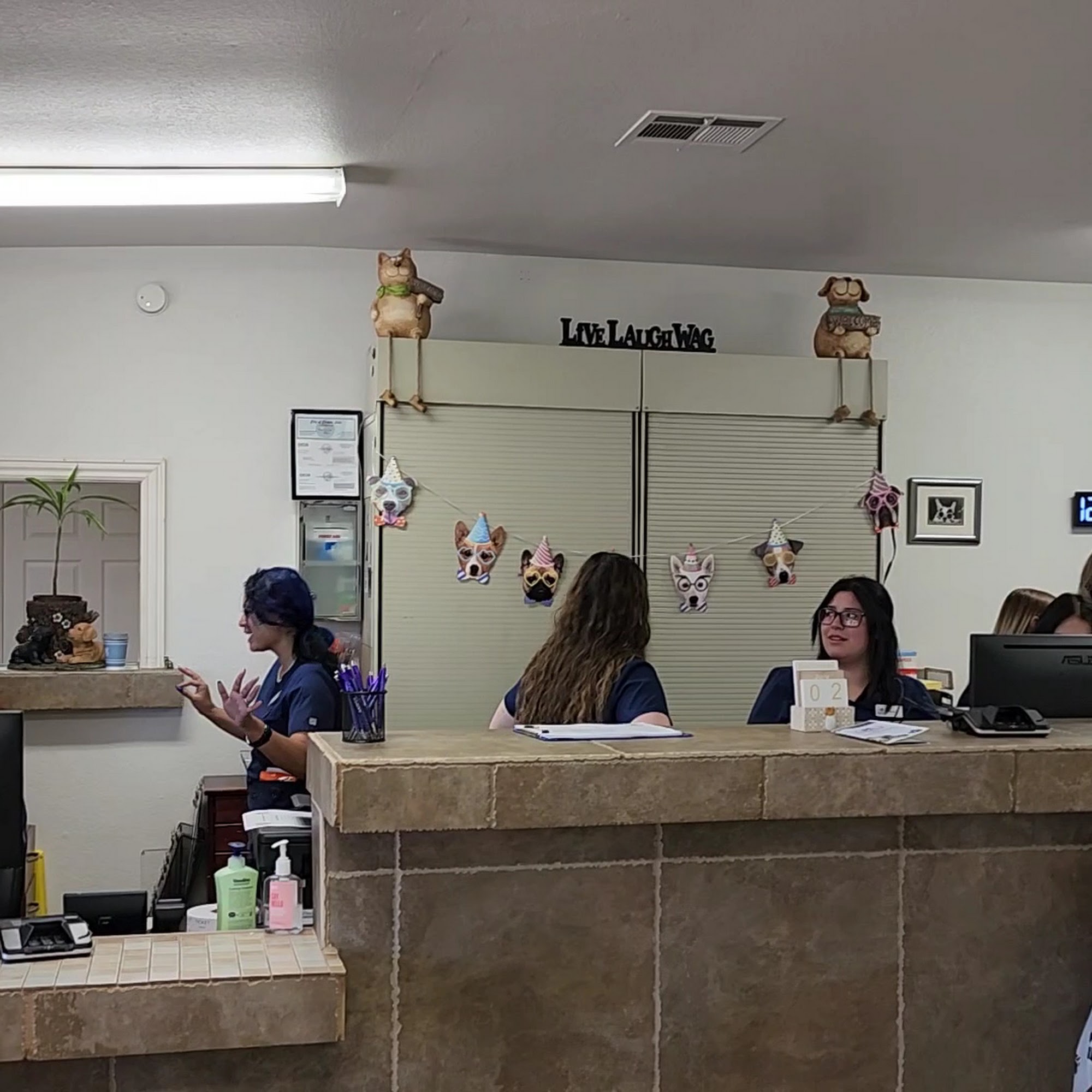 Canyon Lake Veterinary Hospital Canyon Lake