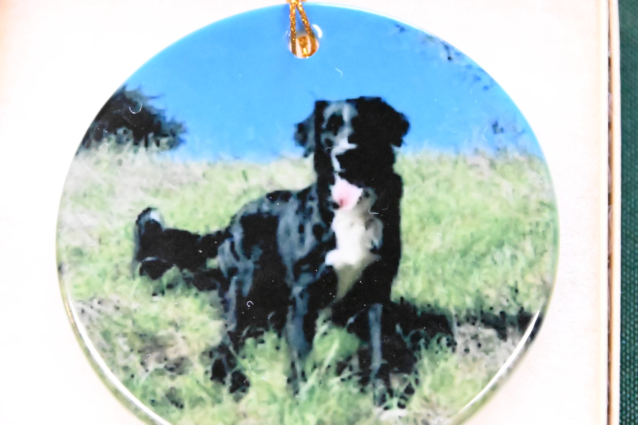 Monterey Bay Dog Training-Santa Cruz Training Classes Capitola