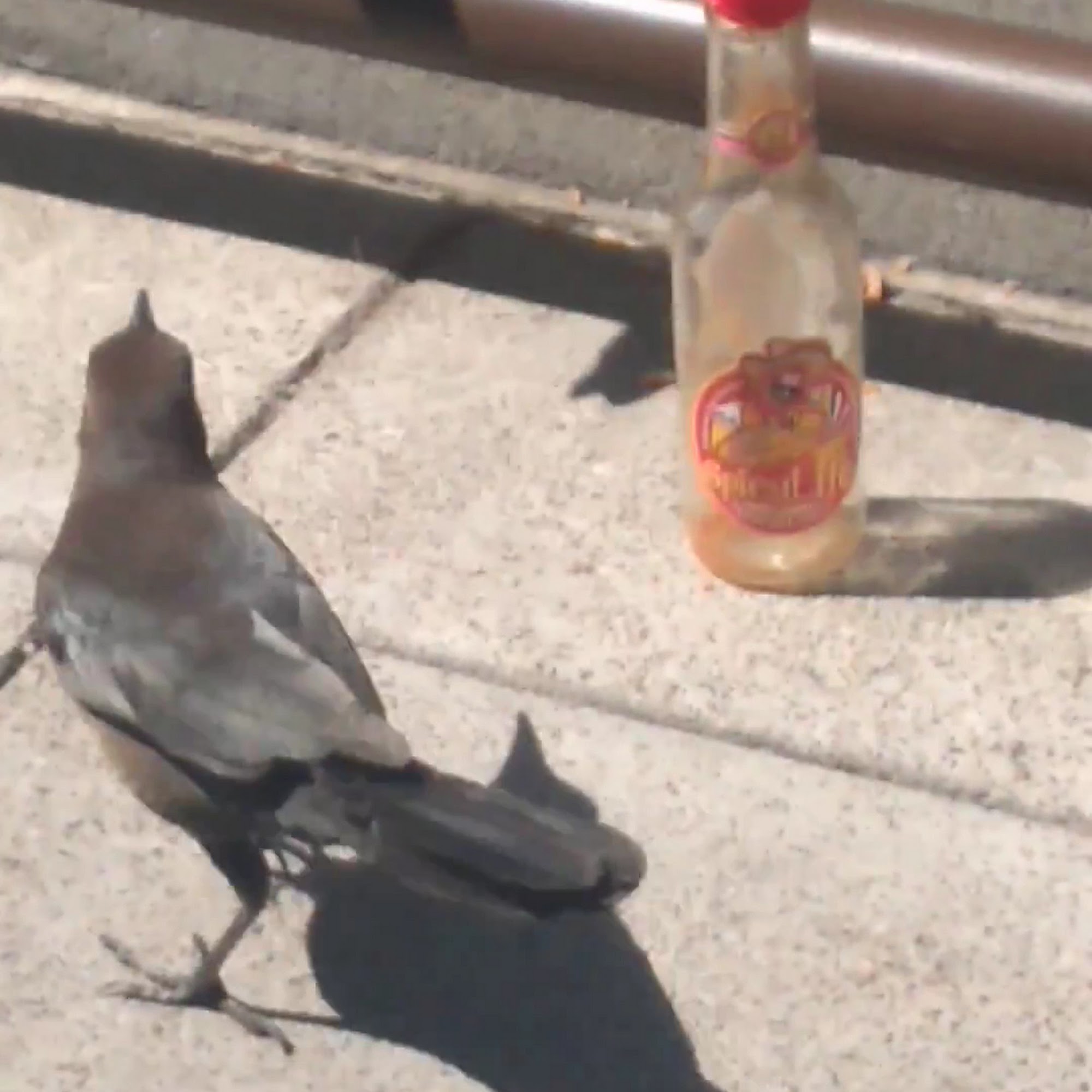 Lourdes Mexican Food Cardiff