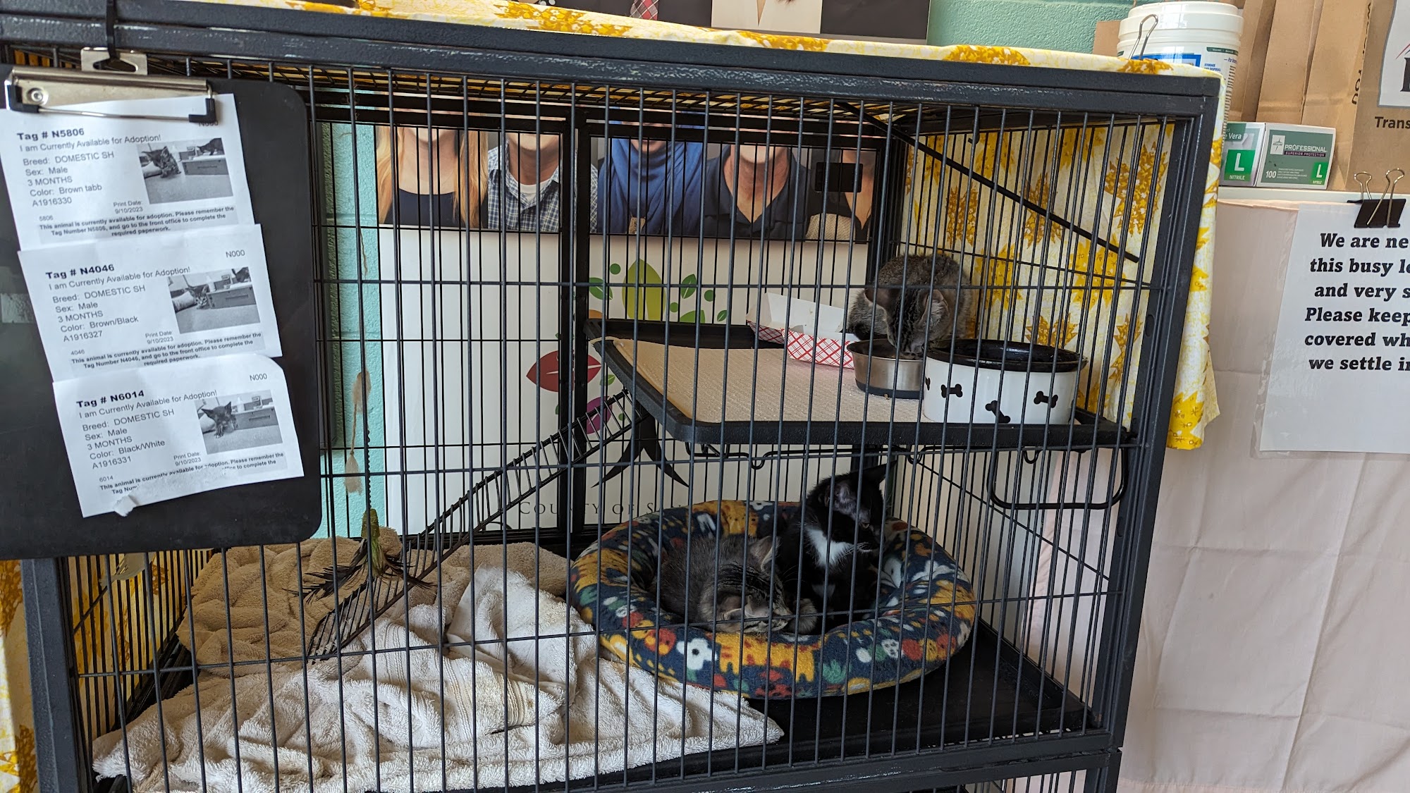 County of San Diego Department of Animal Services Carlsbad