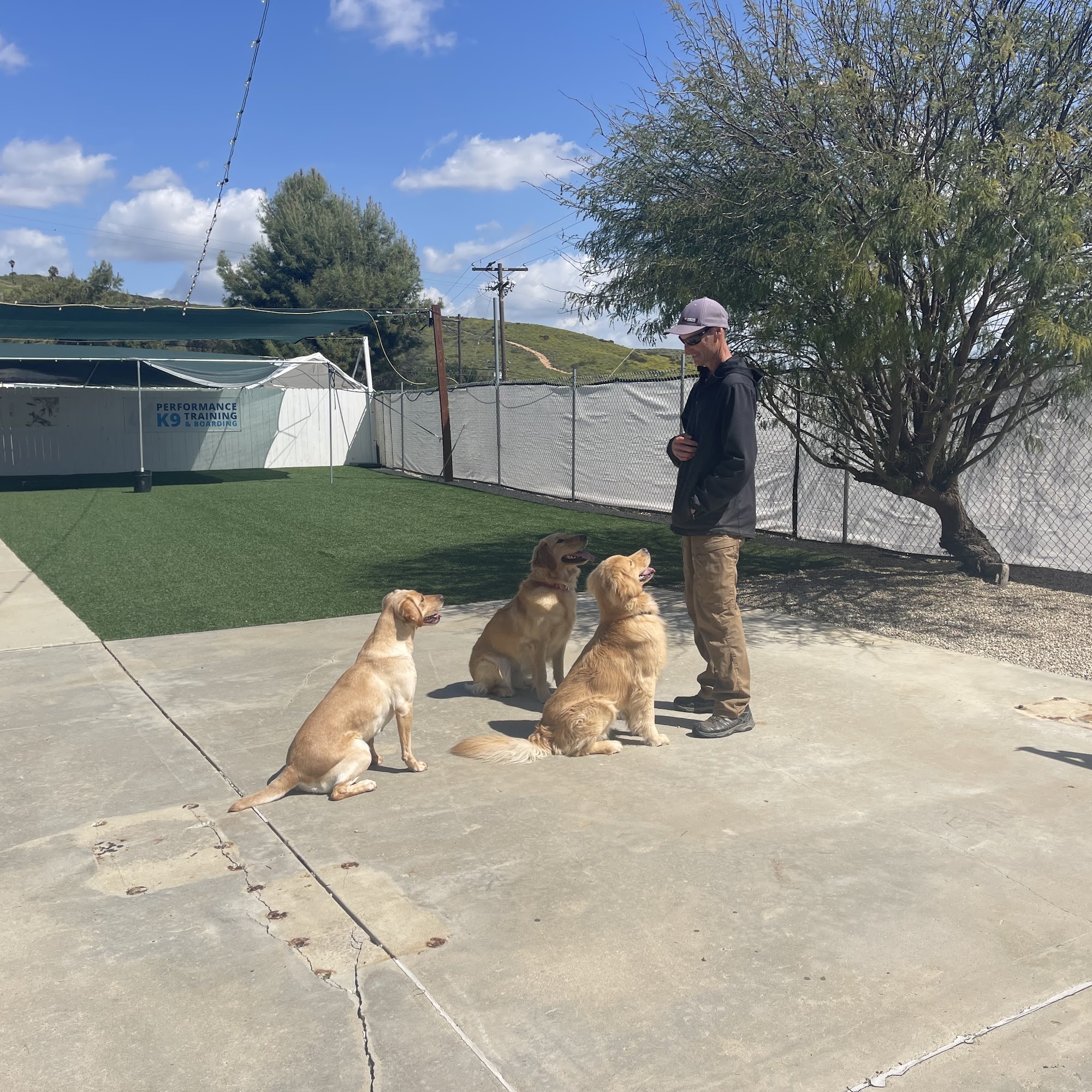 Performance K9 Training Carlsbad