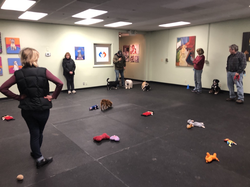 Canine Learning Centers Carlsbad