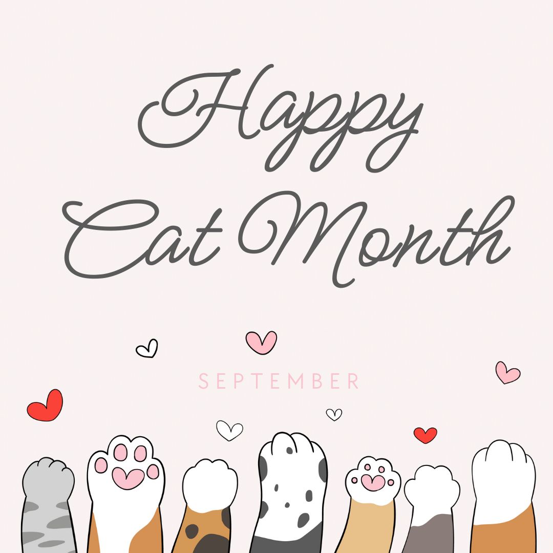 La Costa Animal Hospital Carlsbad