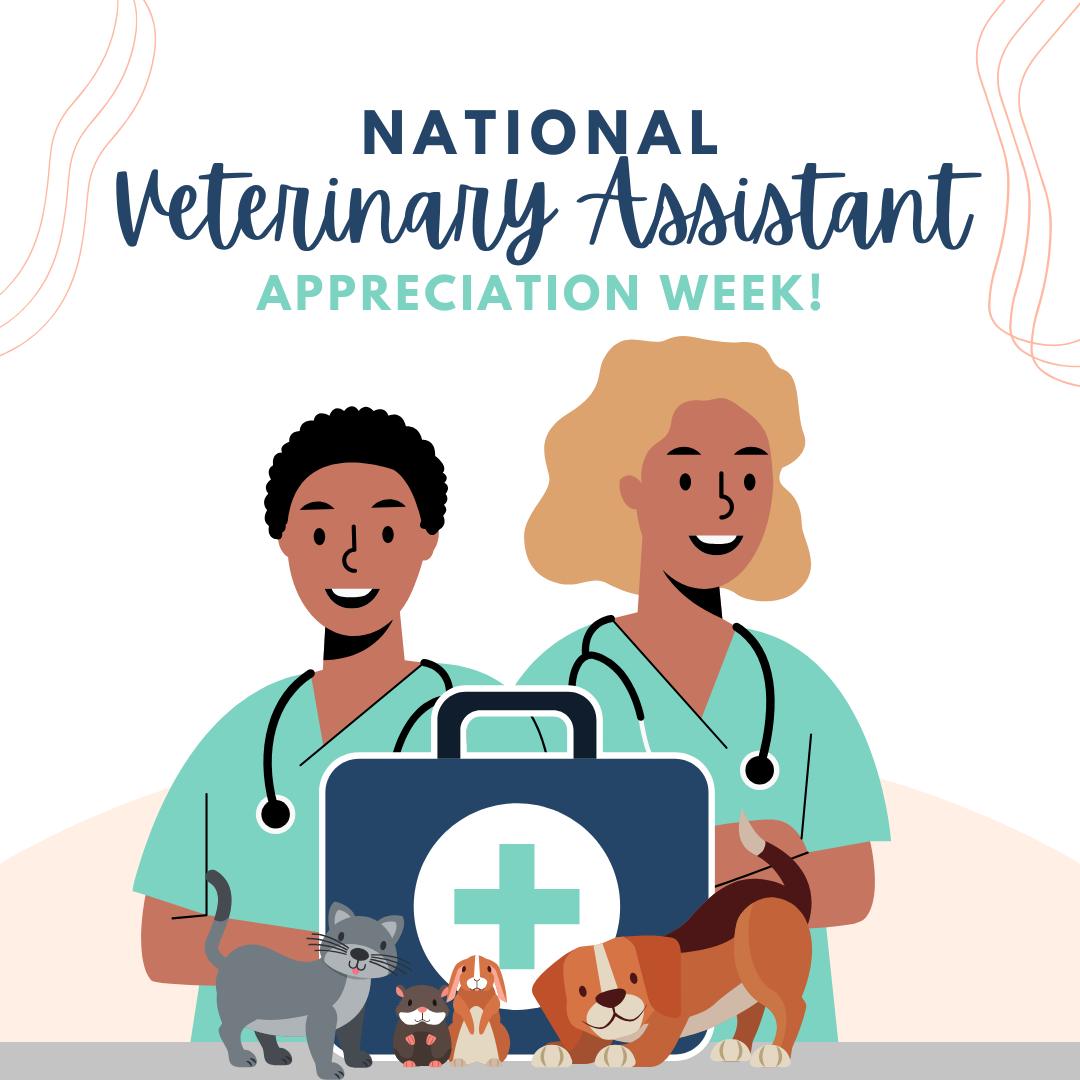 La Costa Animal Hospital Carlsbad