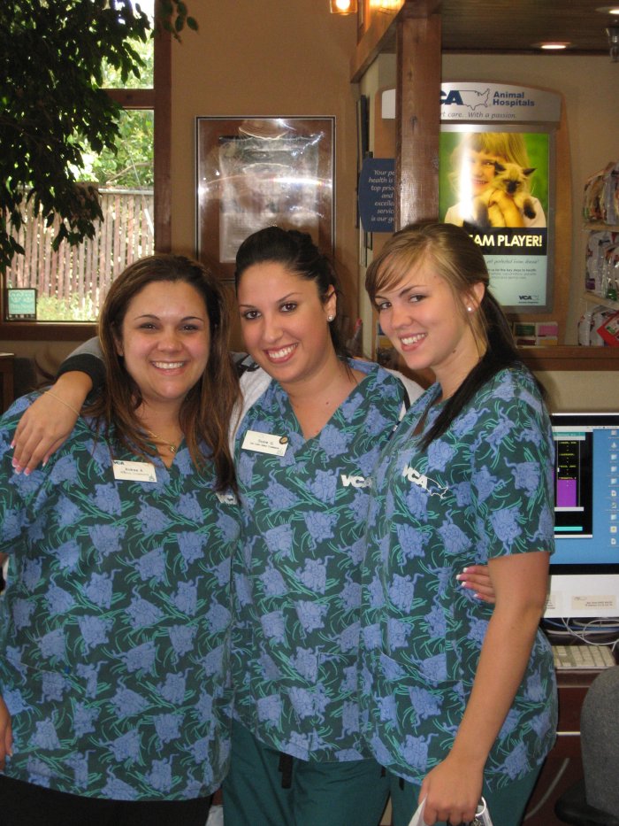 VCA Sacramento Animal Medical Group Carmichael