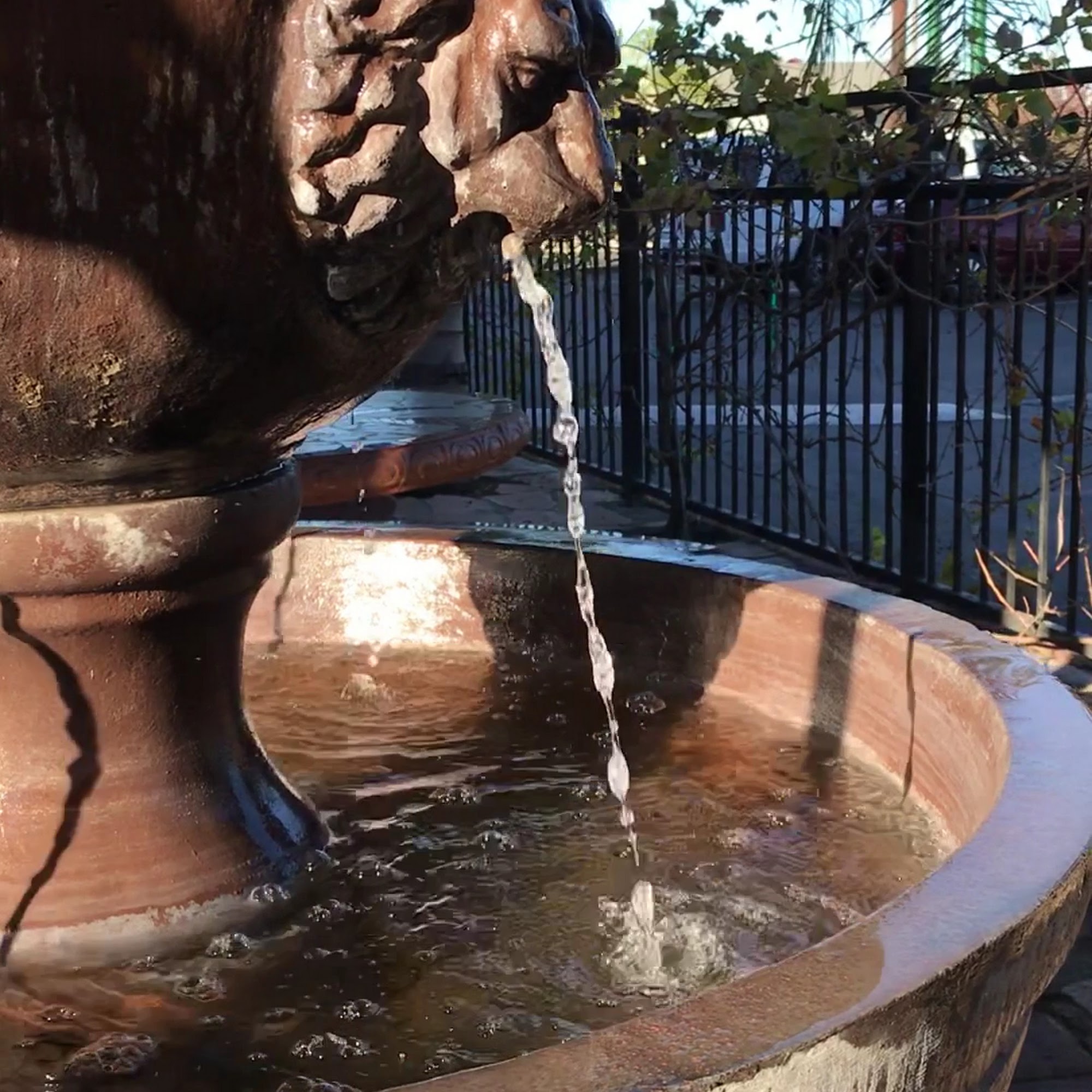 El Papagayo Restaurant Carmichael