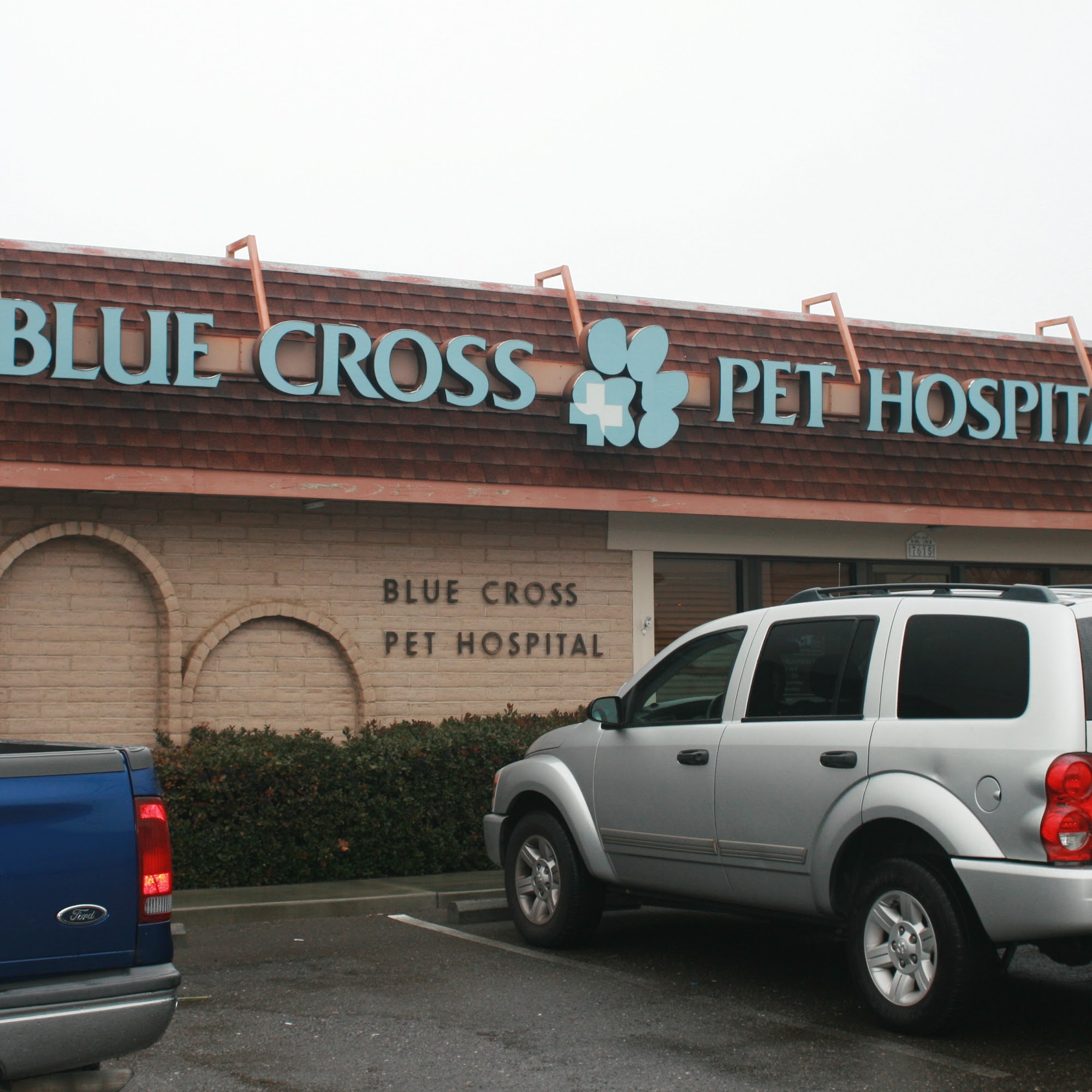 BLUE CROSS PET HOSPITAL Carmichael