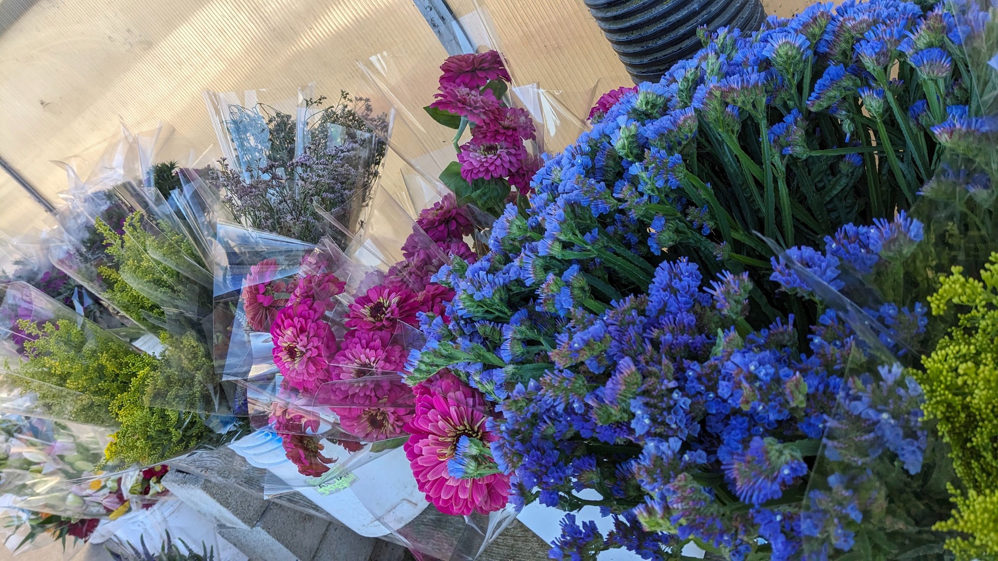 Ocean Breeze International