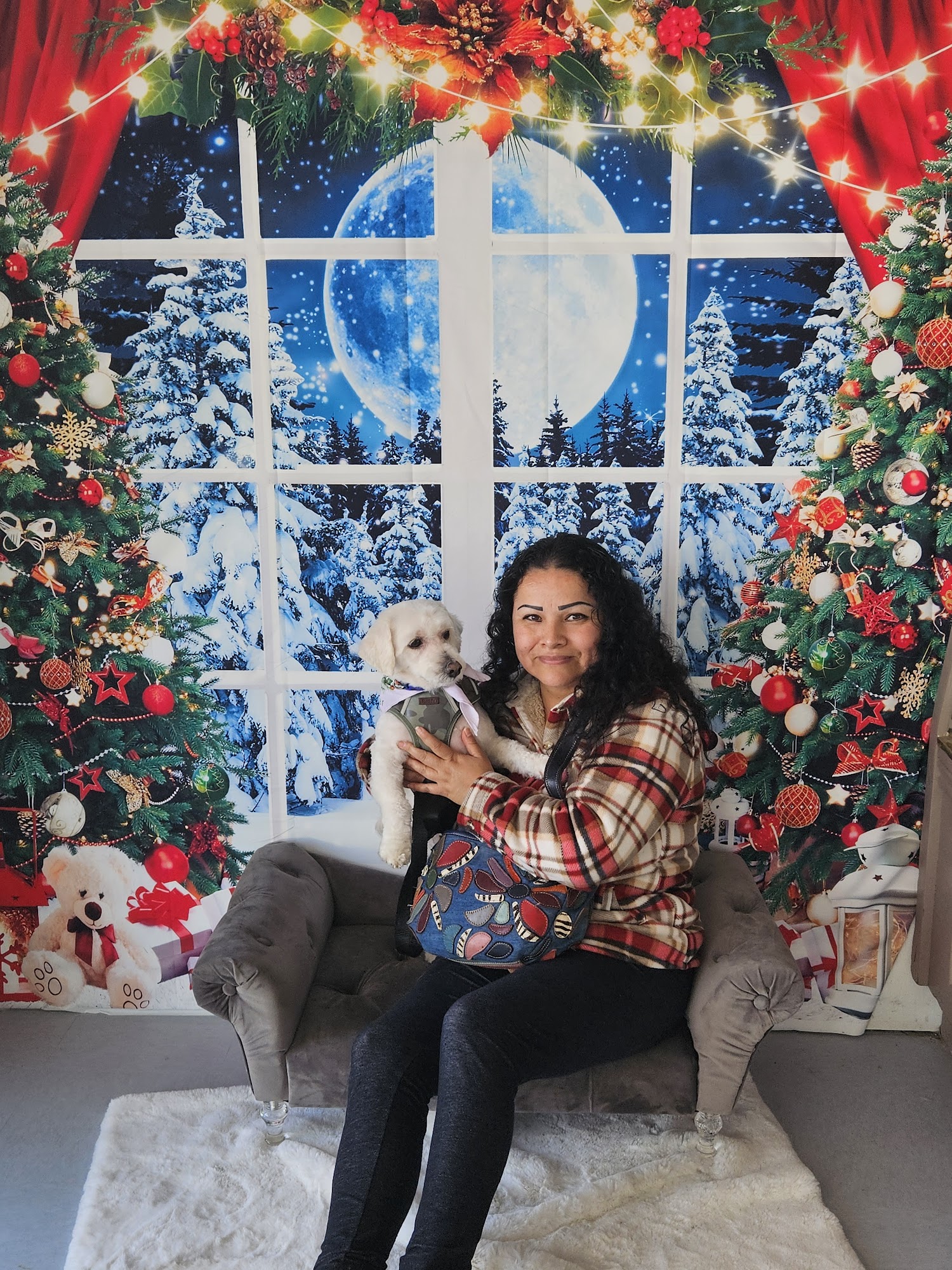 Starbarks Groomers Carson