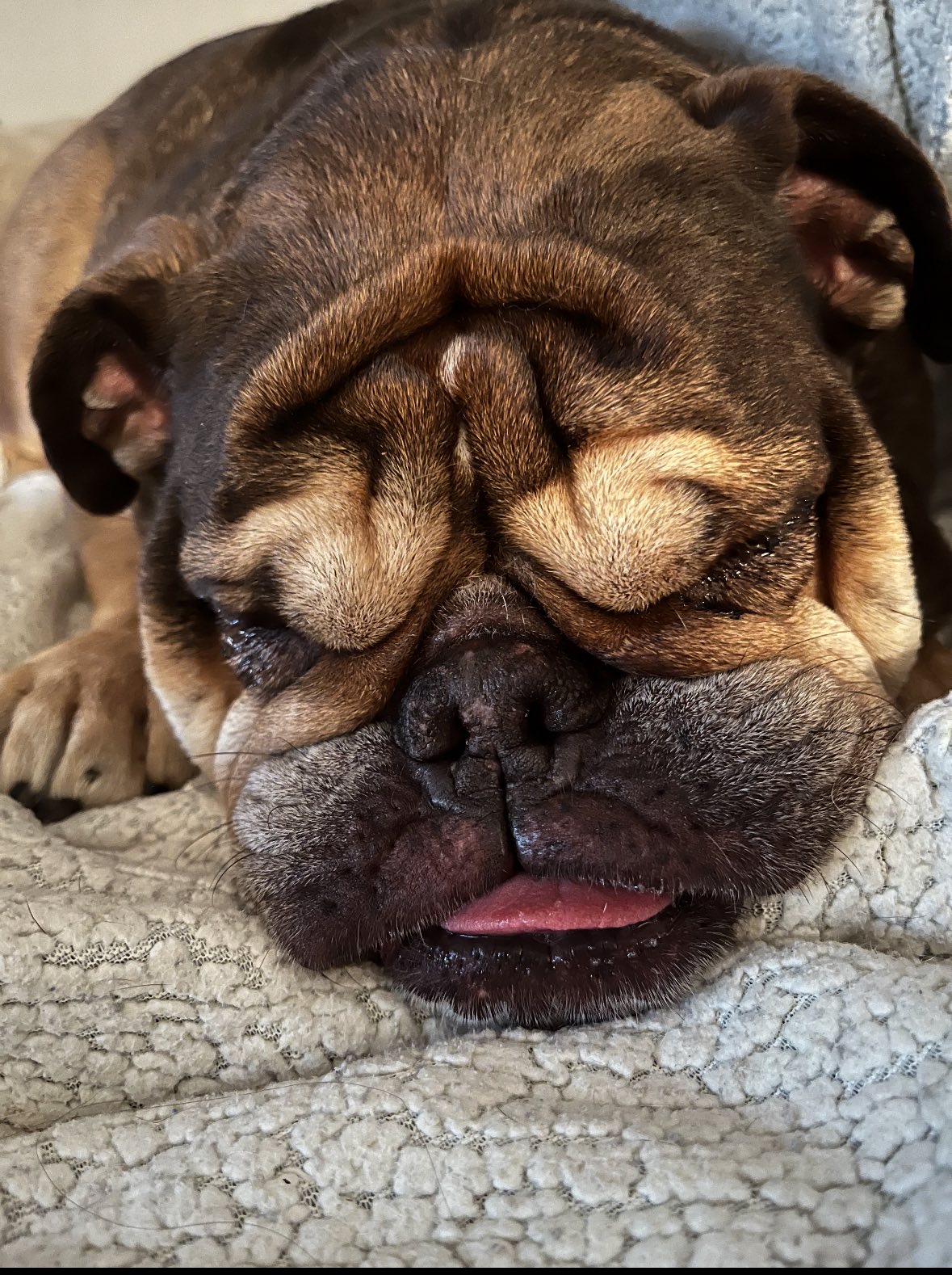 Bone 2B Wild Castaic