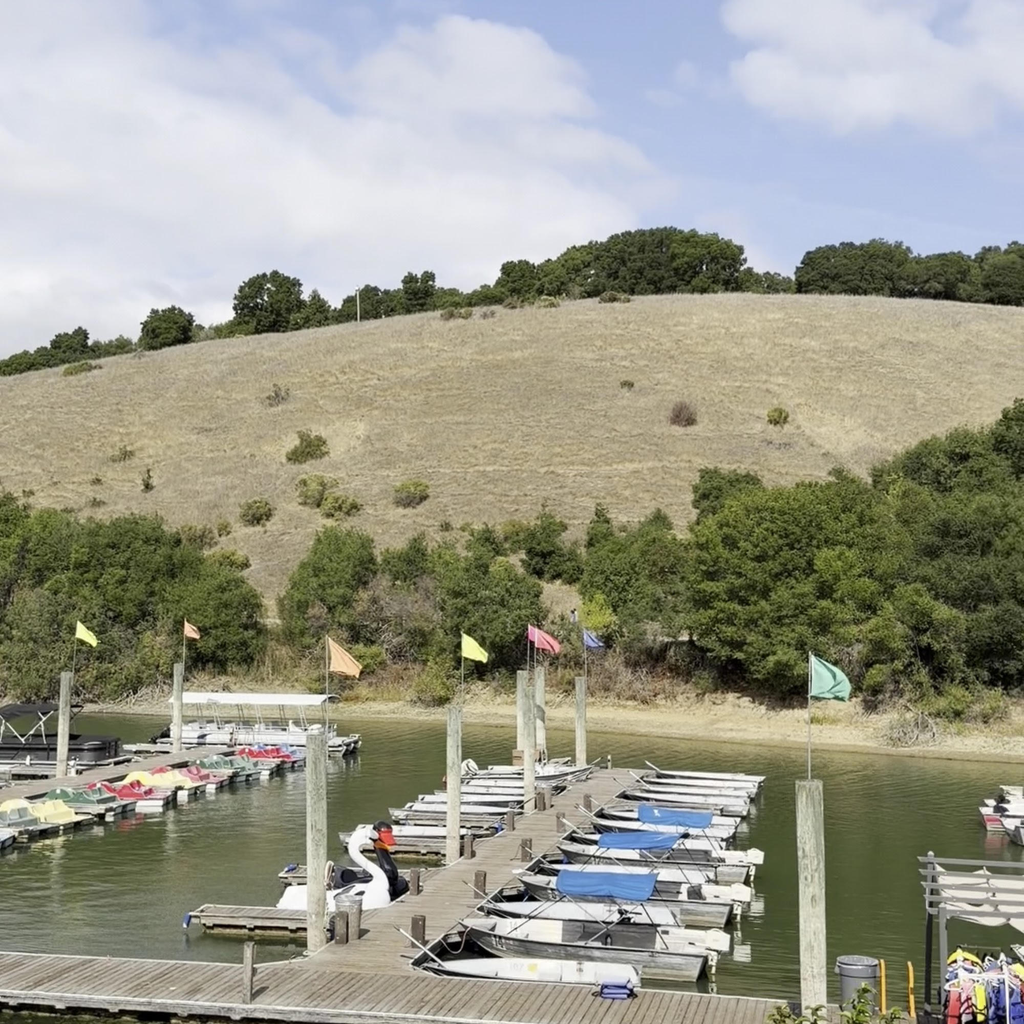 Lake Chabot Marina & Café Castro Valley