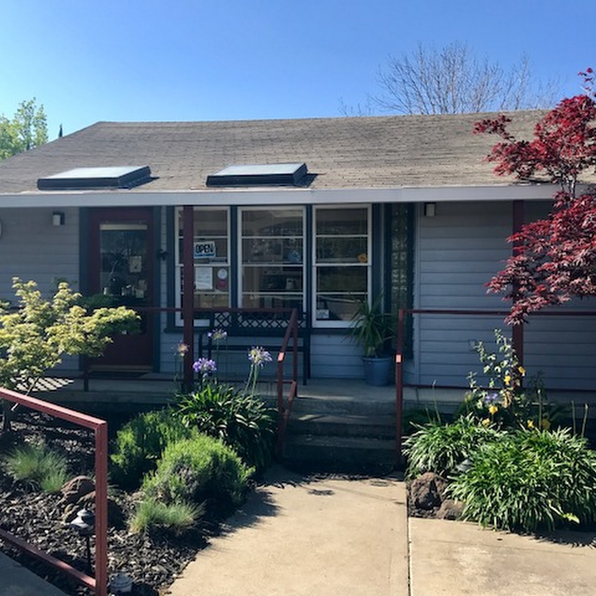 Castro Valley Companion Animal Hospital Castro Valley