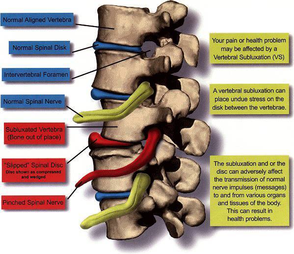 Delaire Chiropractic Clinic Inc