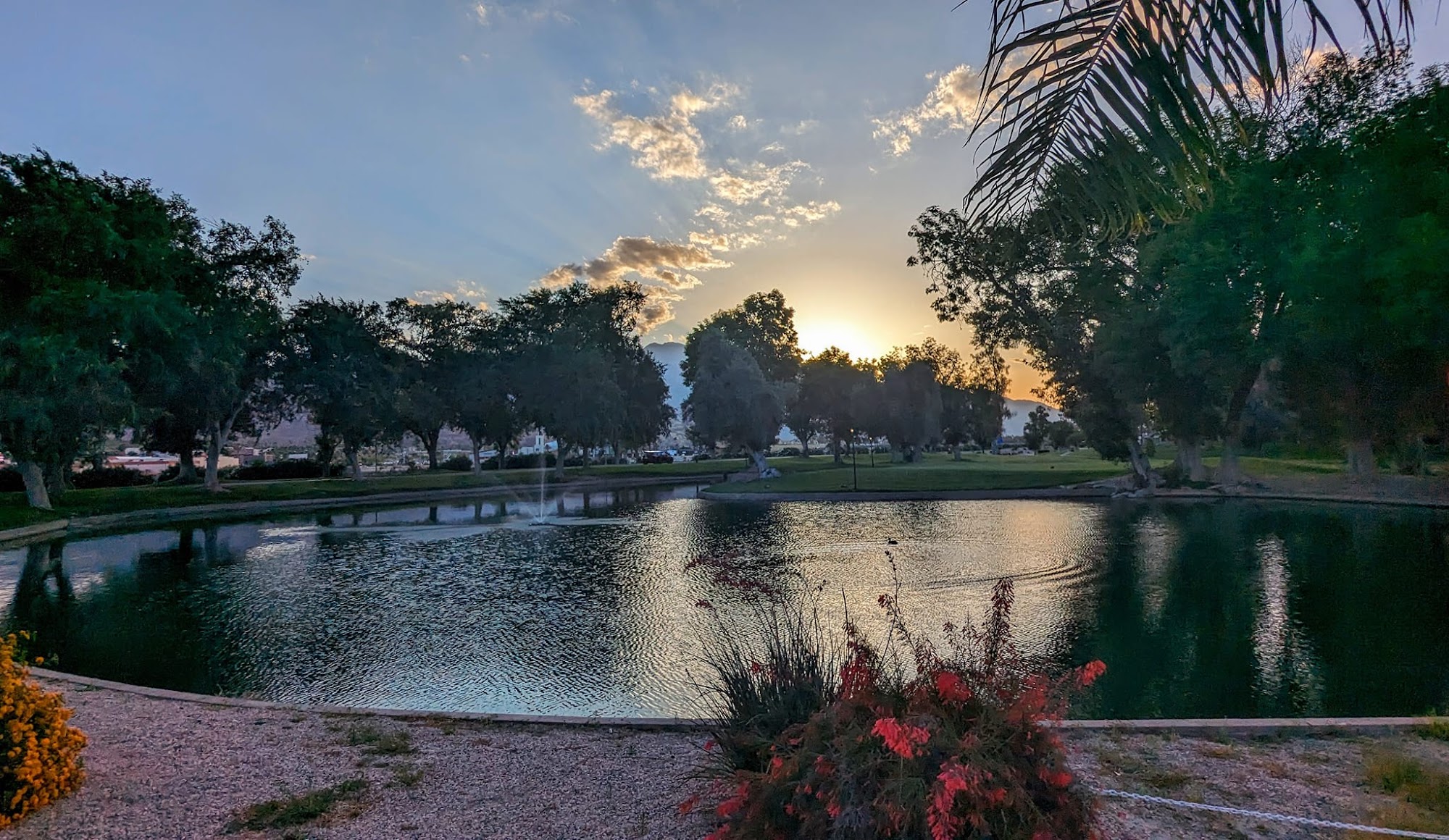 Nick's Italian Bistro Cathedral City