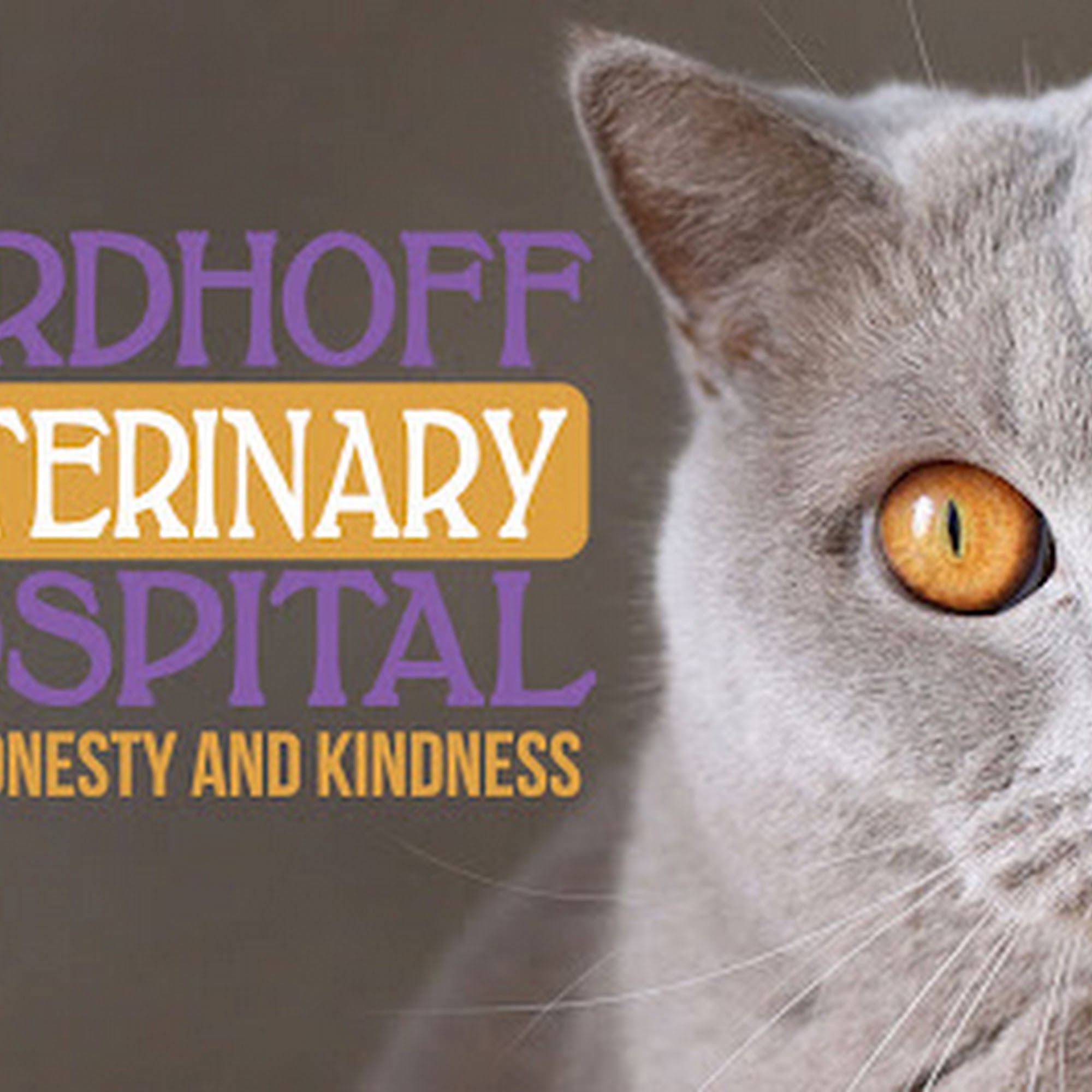 Nordhoff Veterinary Hospital Chatsworth