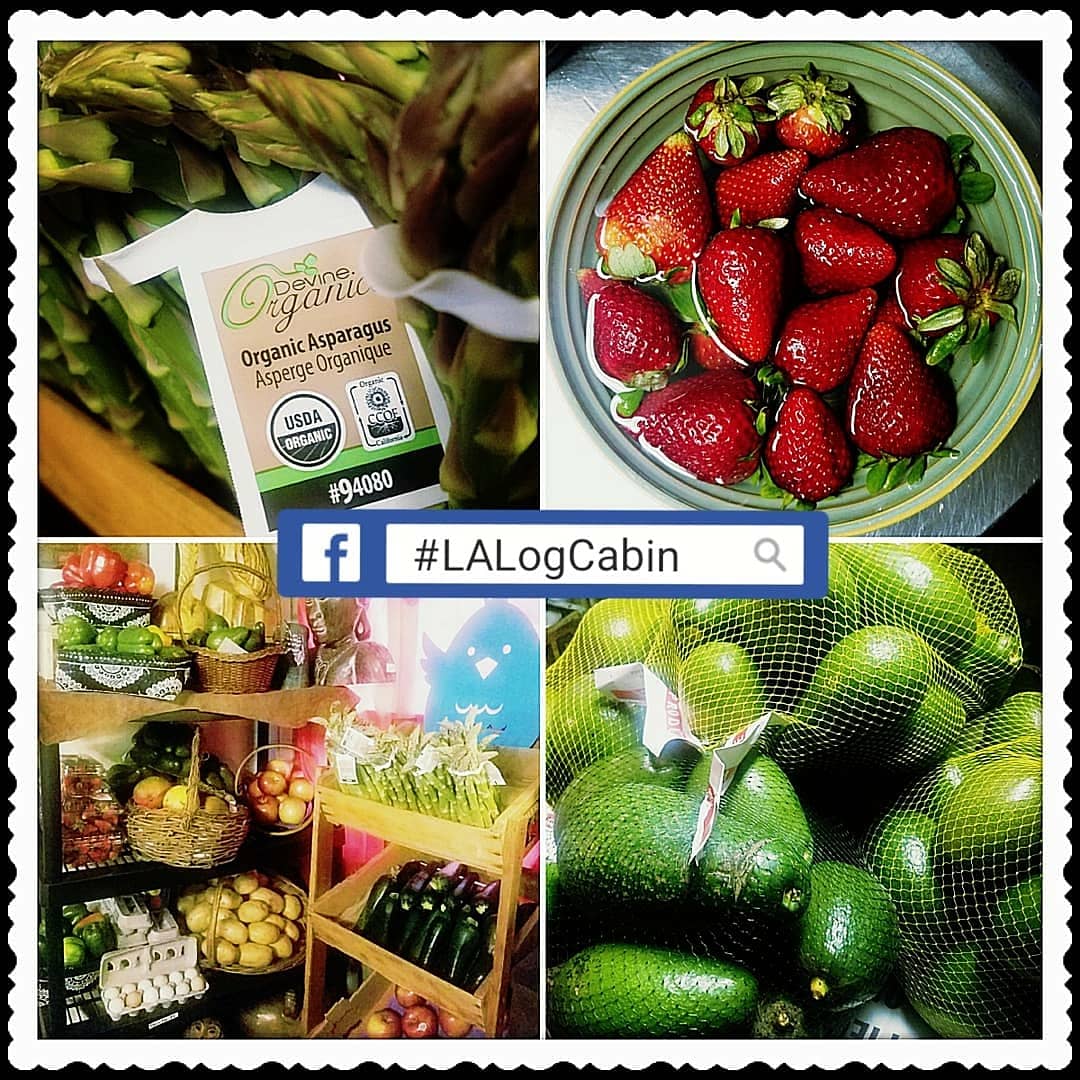 Log Cabin Mercantile Co. Chatsworth