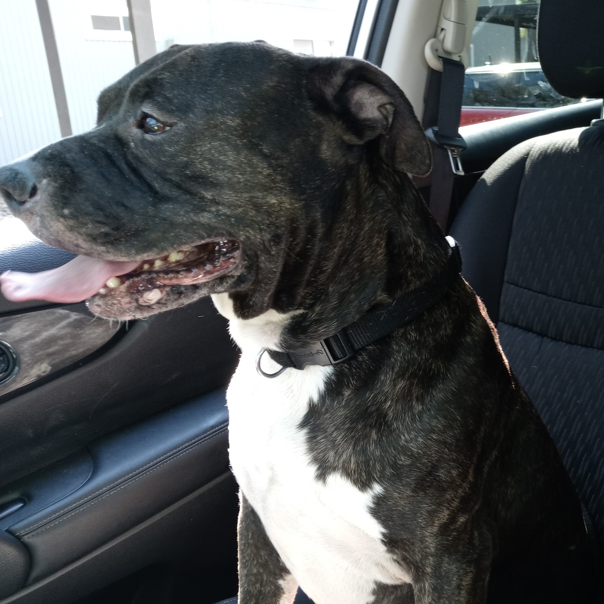 Butte Humane Society Clinic Chico