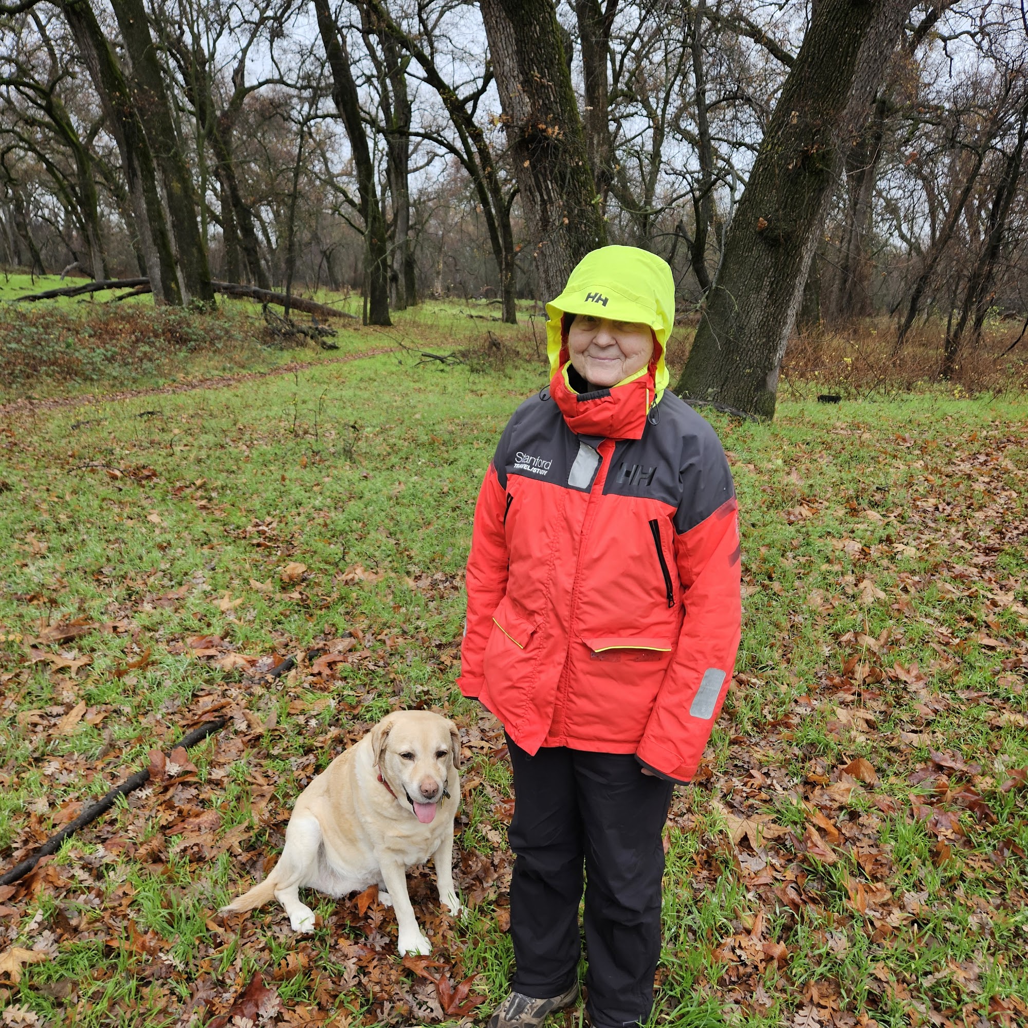 Evers Veterinary Clinic Chico