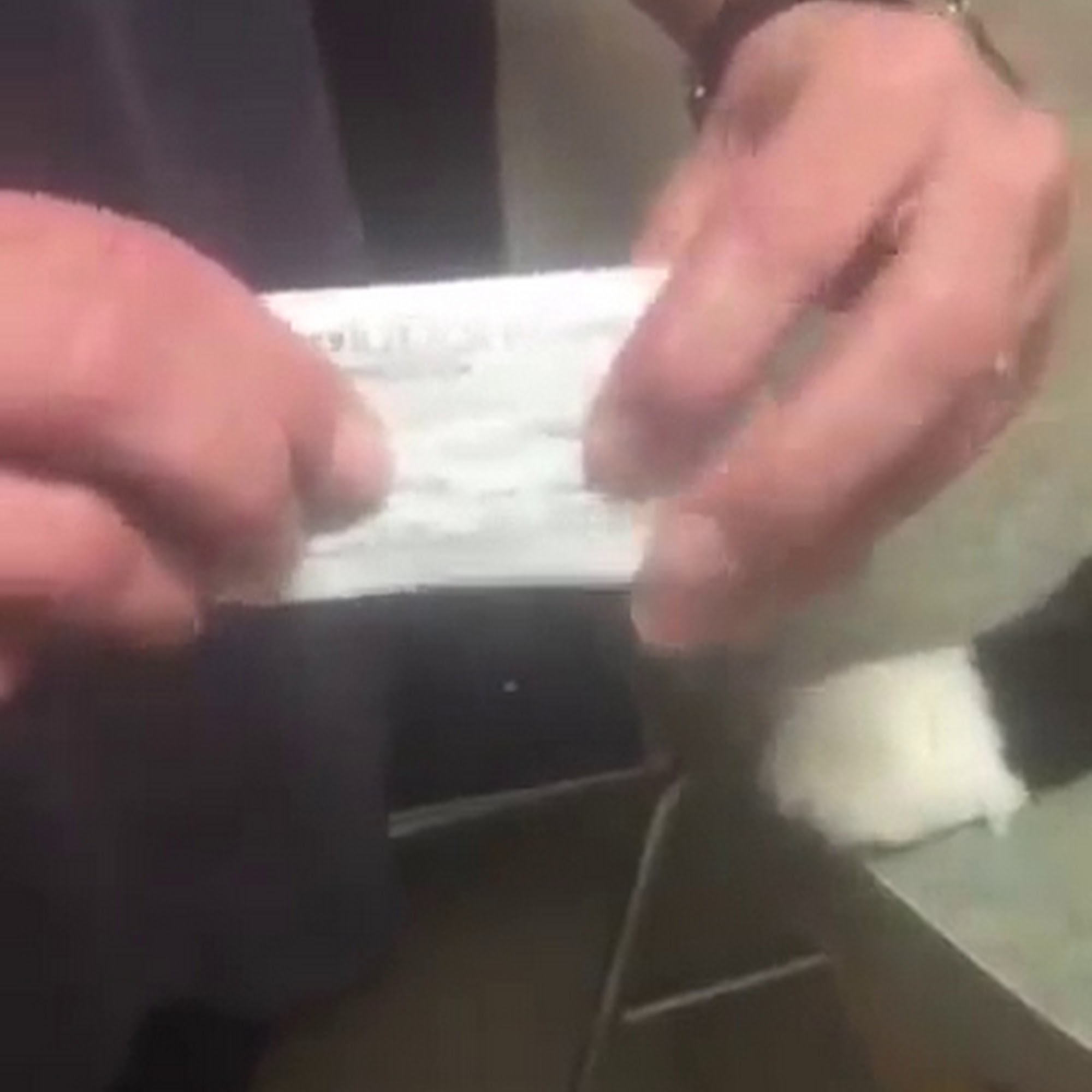 Chico Hospital For Cats Chico