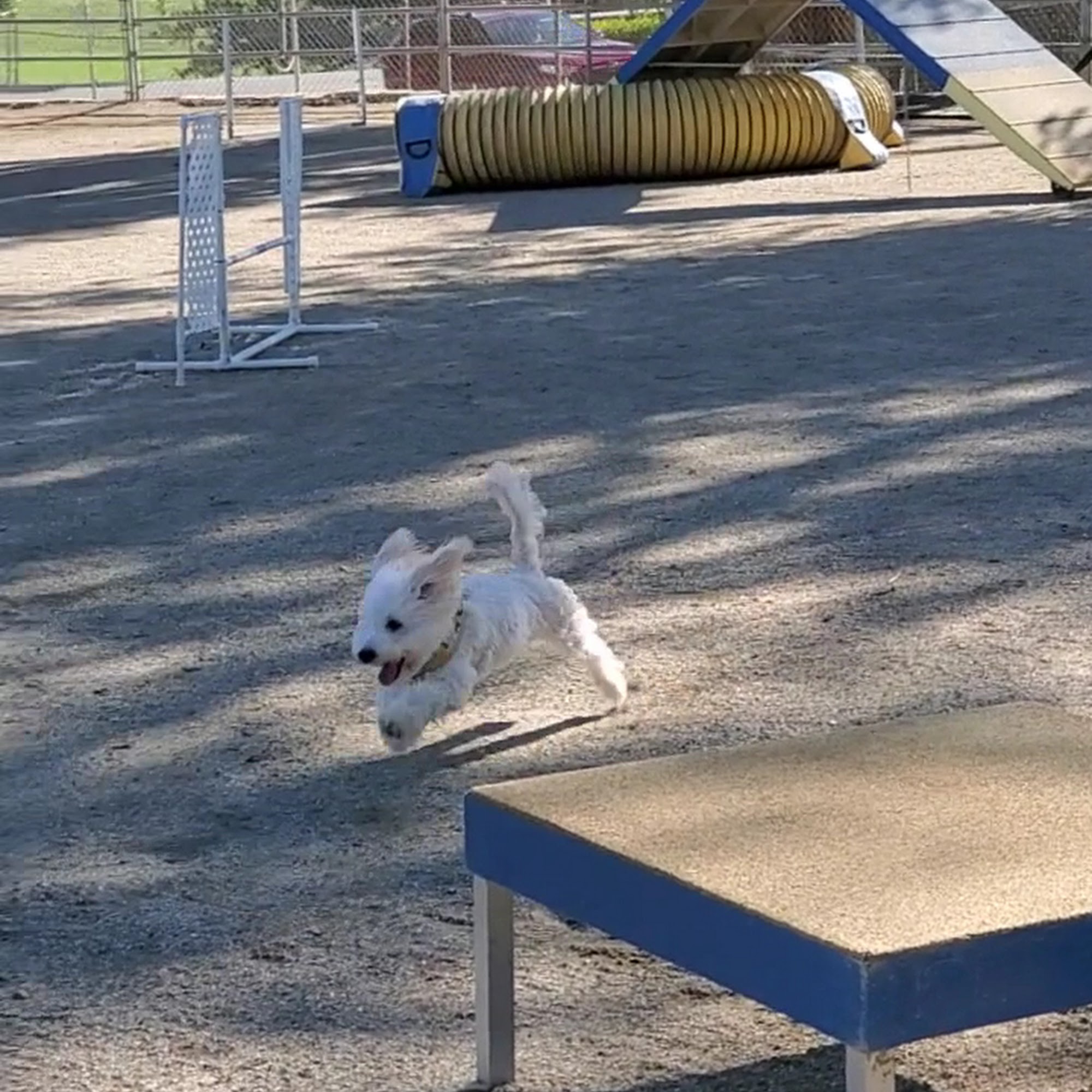 Silver Rose Ranch Chino Hills