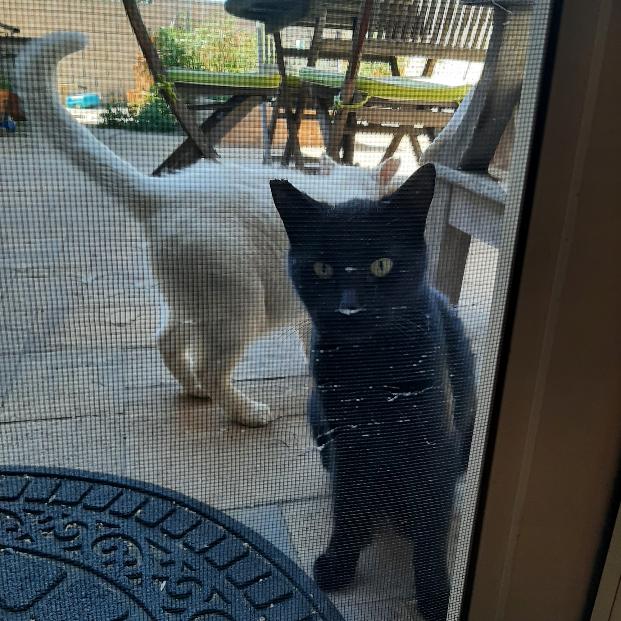 Priceless Pets Rescue- Vet Clinic Chino Hills