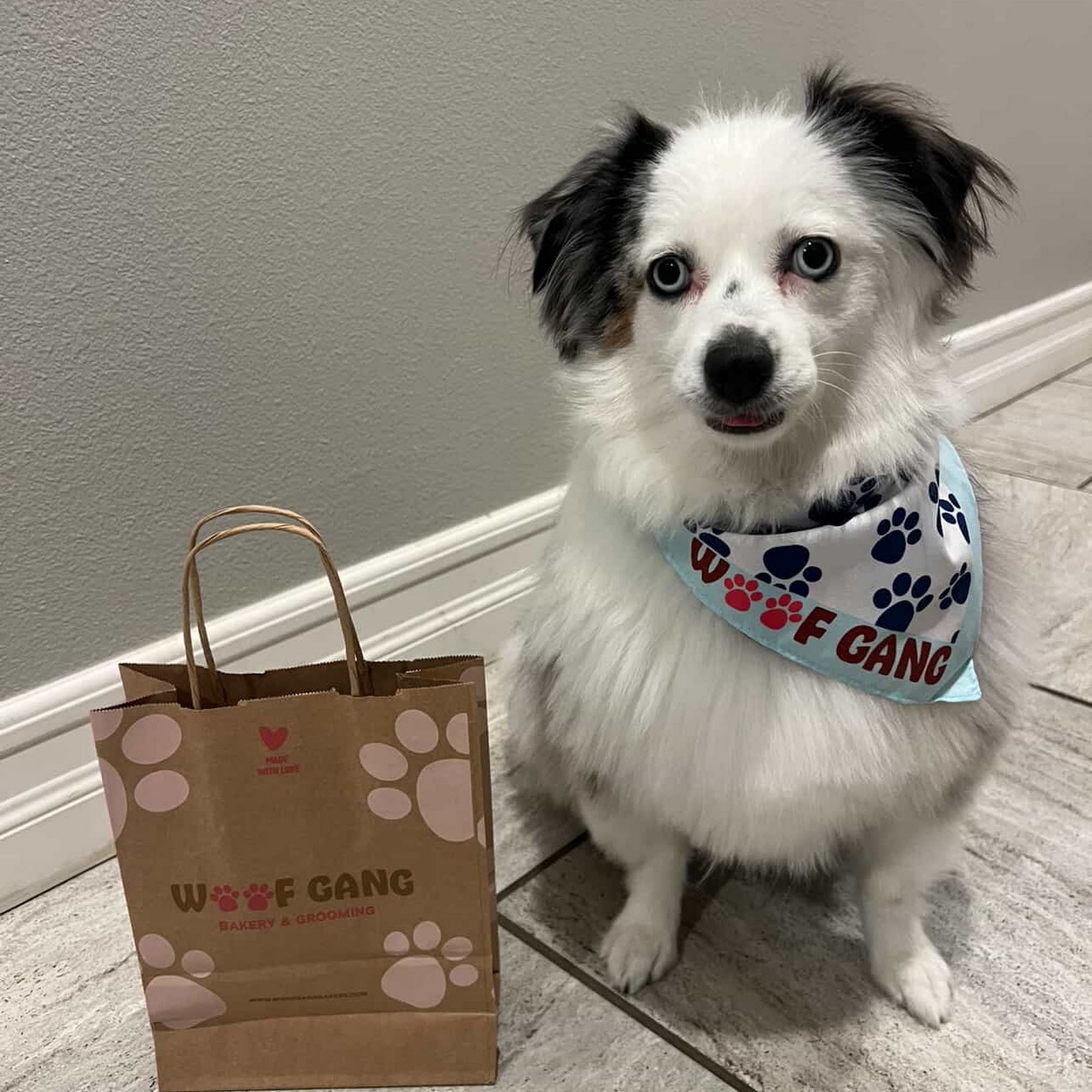 Woof Gang Bakery & Grooming Chino Hills Chino Hills