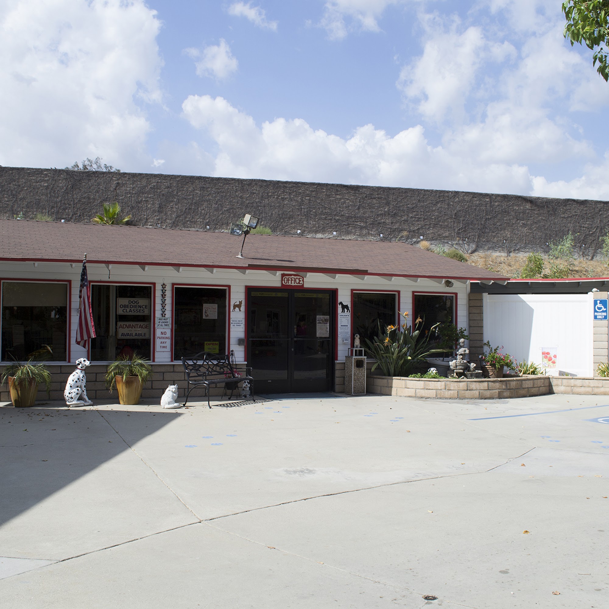 Chino's Caring Kennel Chino