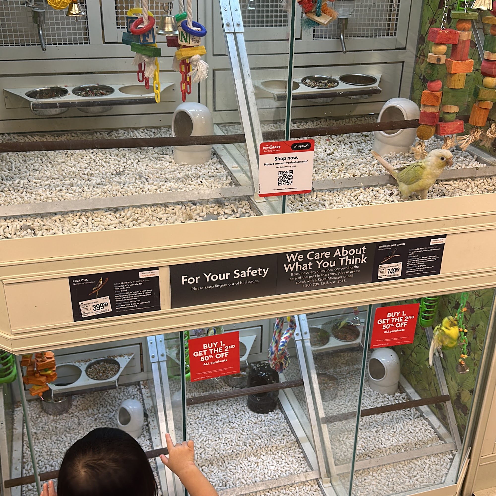 Country Fair S.C. Chino