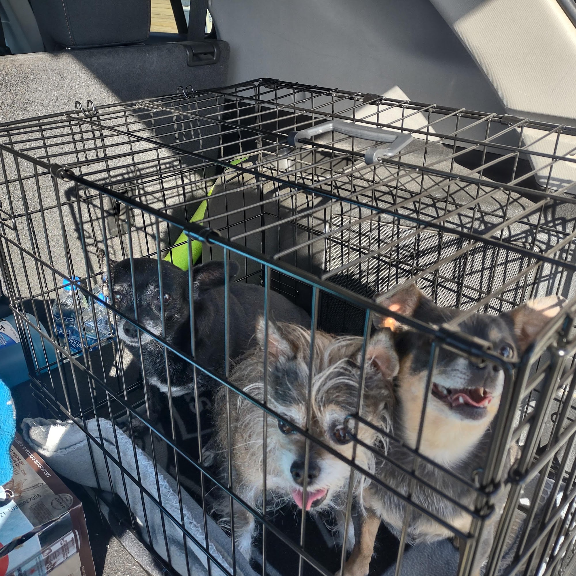 Central Valley Veterinary Clinic Chowchilla