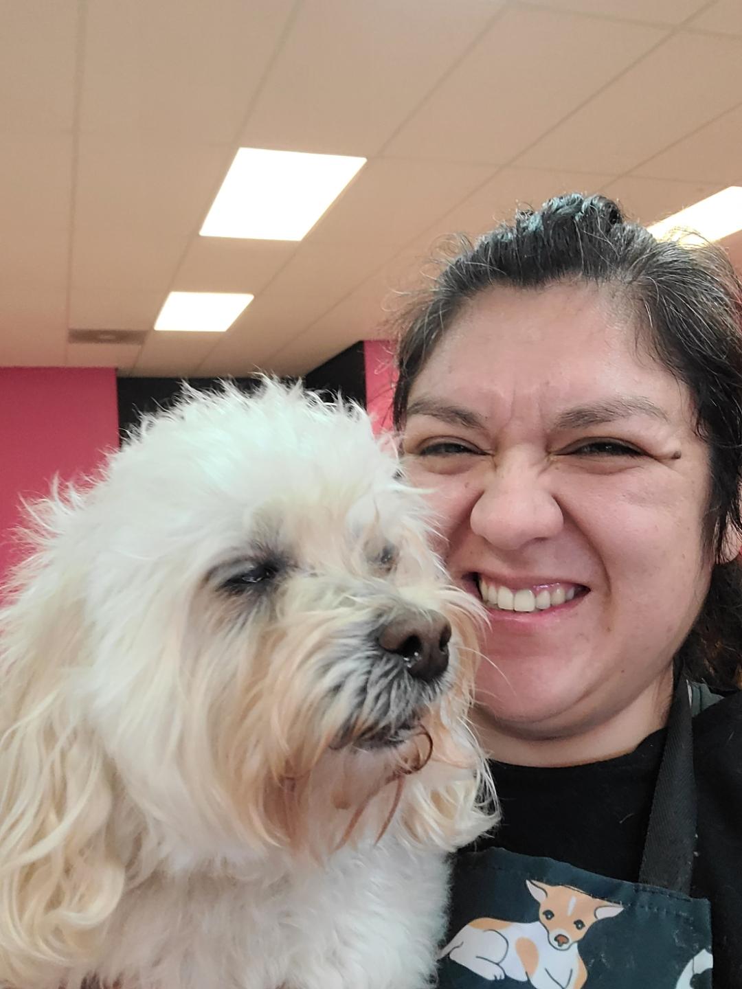 Cura Bella Grooming Chowchilla