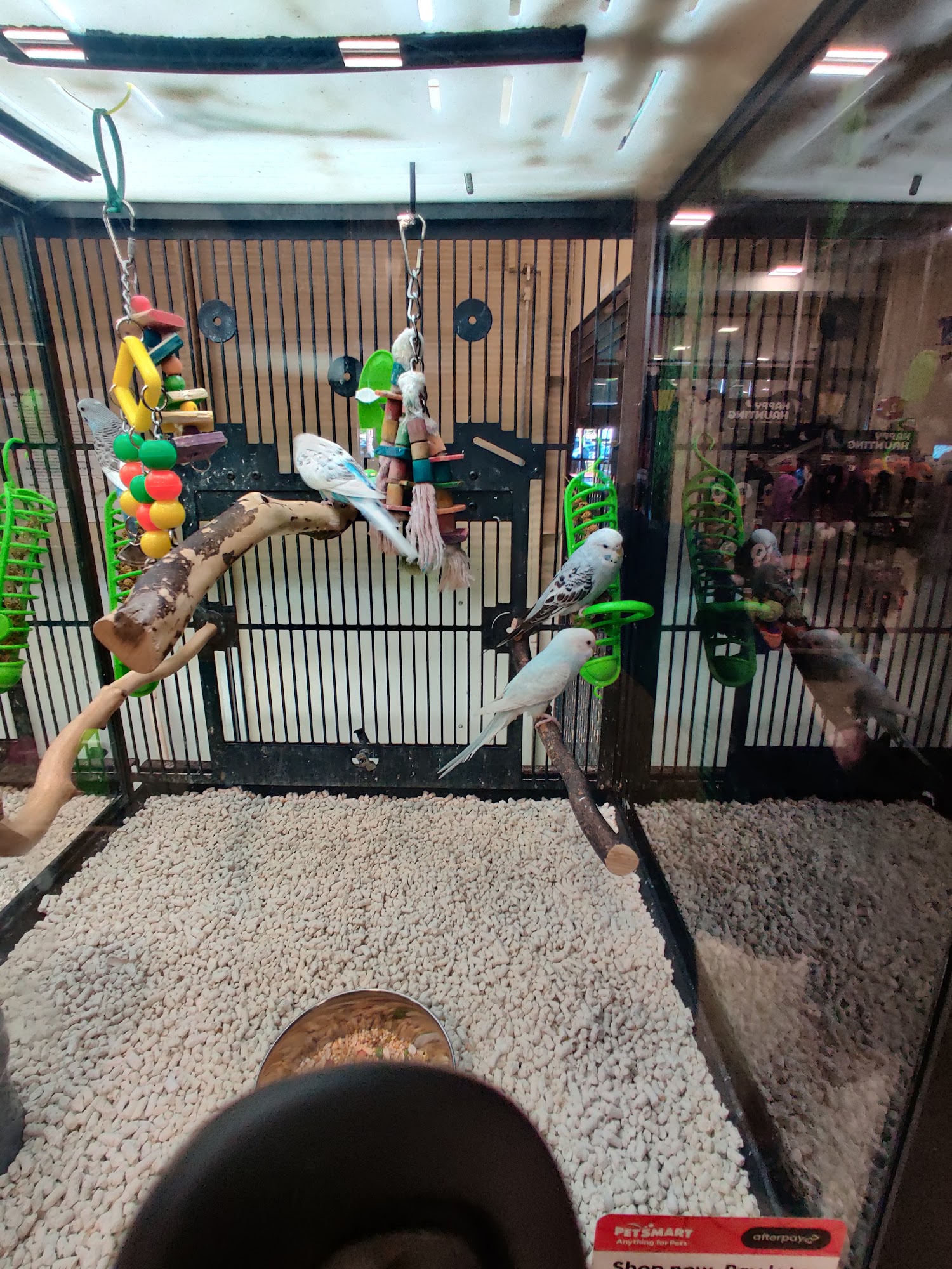 PetSmart Chula Vista