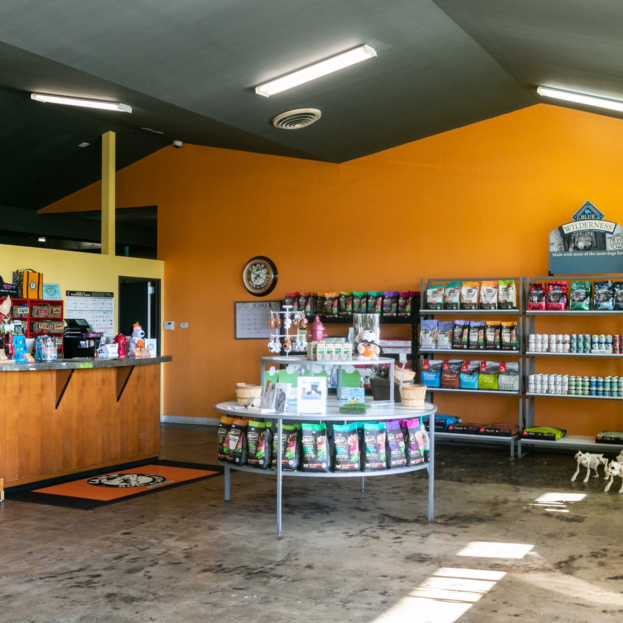 Camp Run-A-Mutt Chula Vista Chula Vista