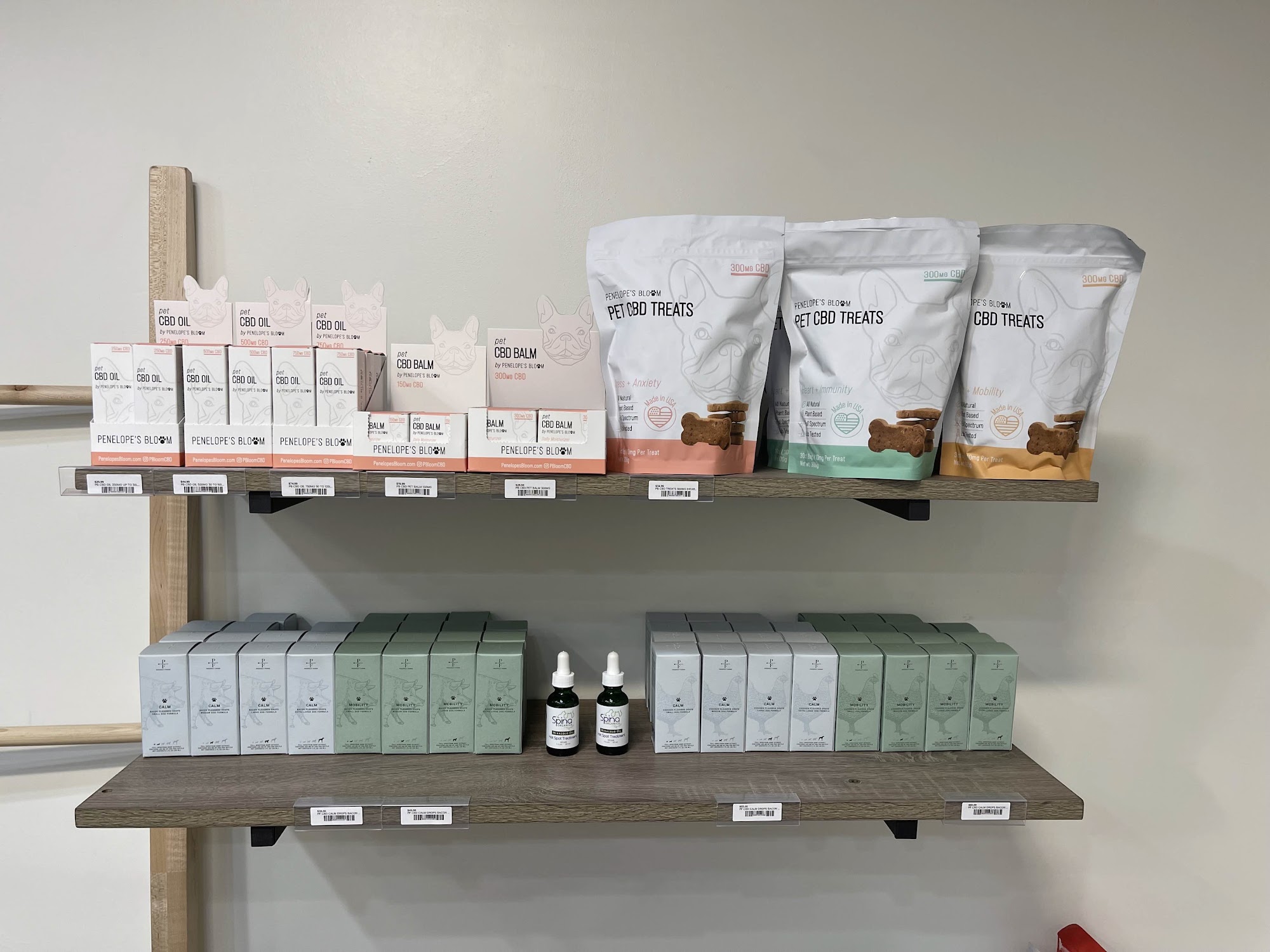 Pride N Joy Grooming Chula Vista