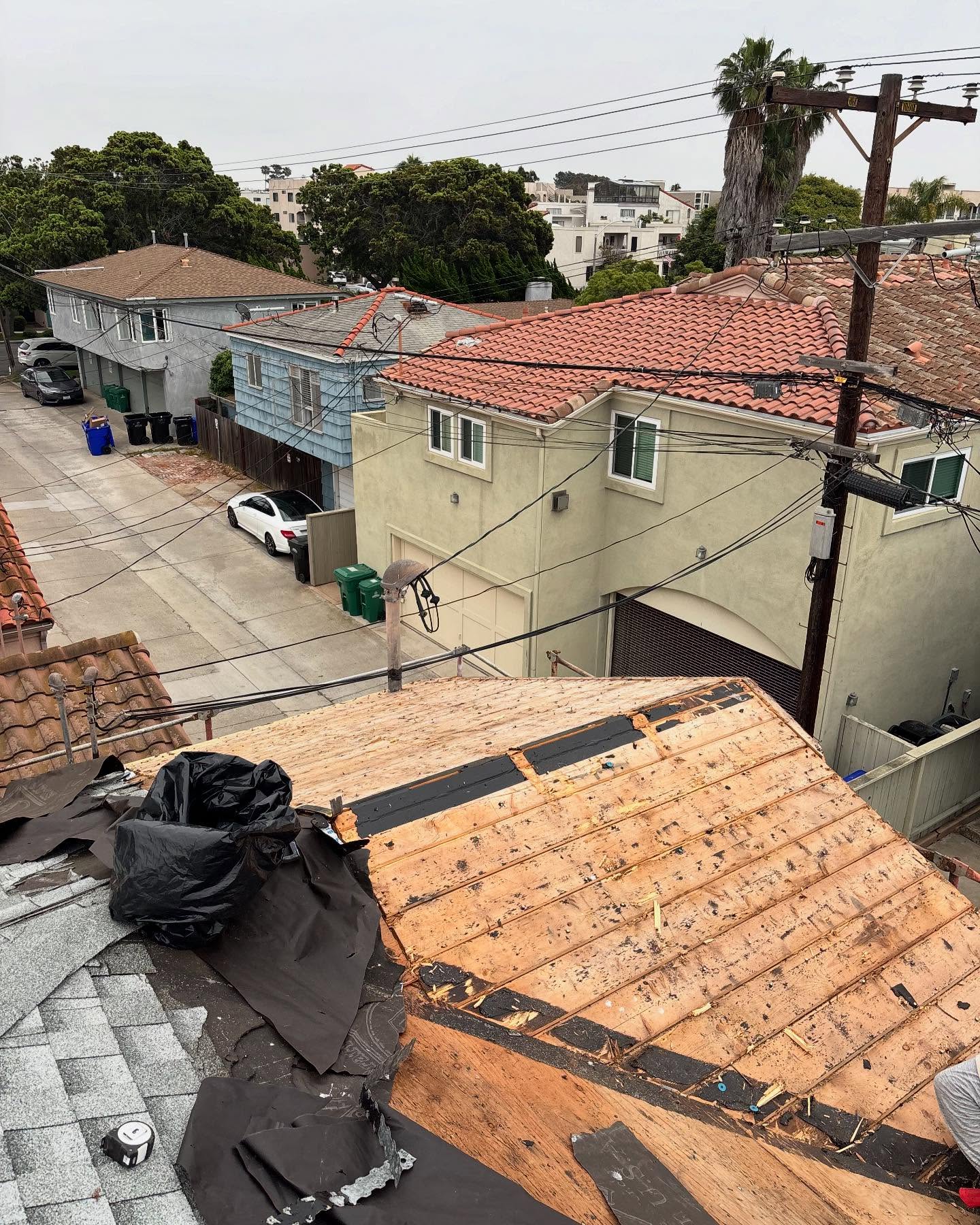 Turbo Termite & Repair