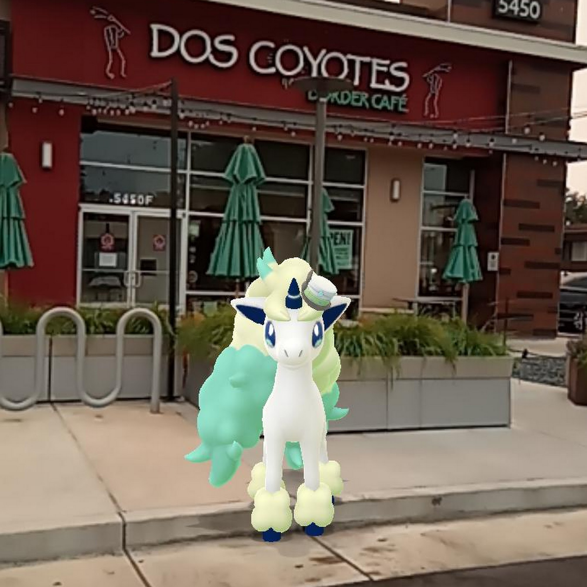 Dos Coyotes Border Cafe Citrus Heights