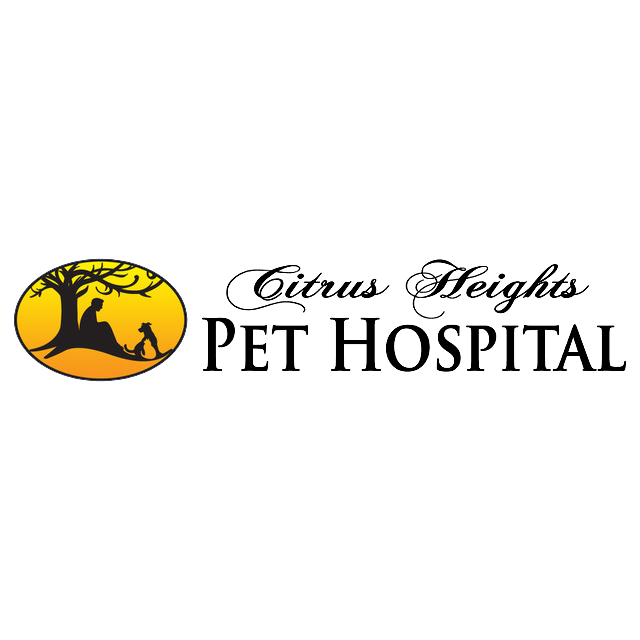 Citrus Heights Pet Hospital: Warsc Averi DVM Citrus Heights
