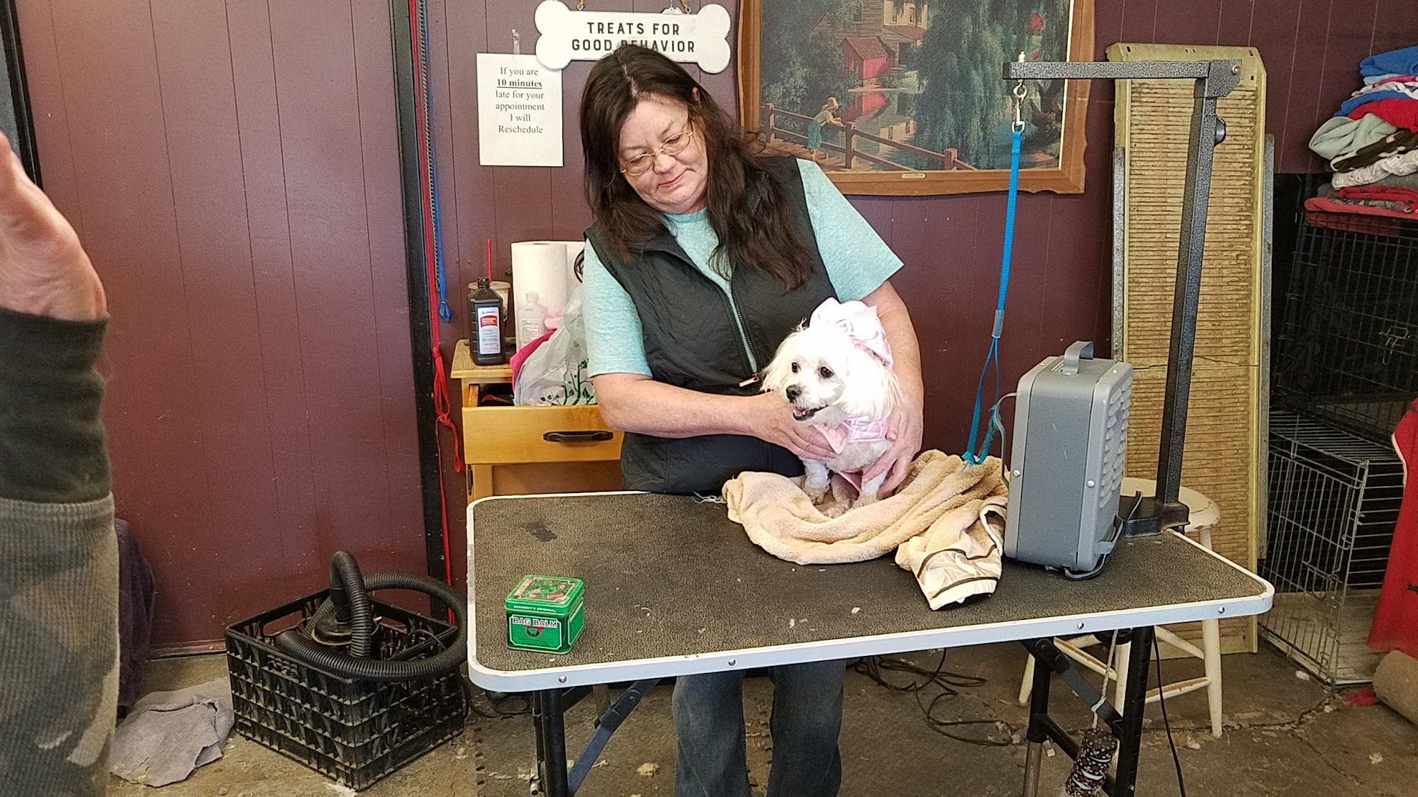 Debbie's Dog Grooming Clearlake