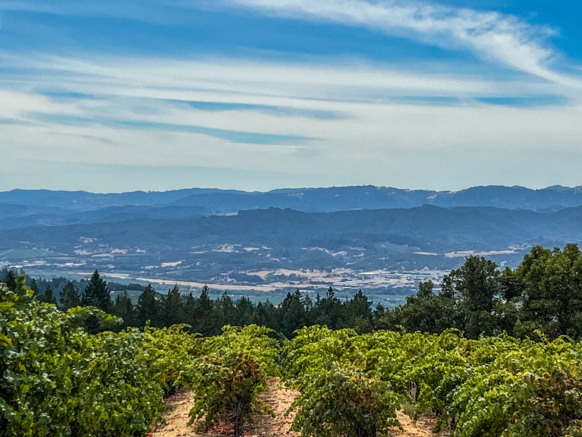 BobDog Wines Cloverdale