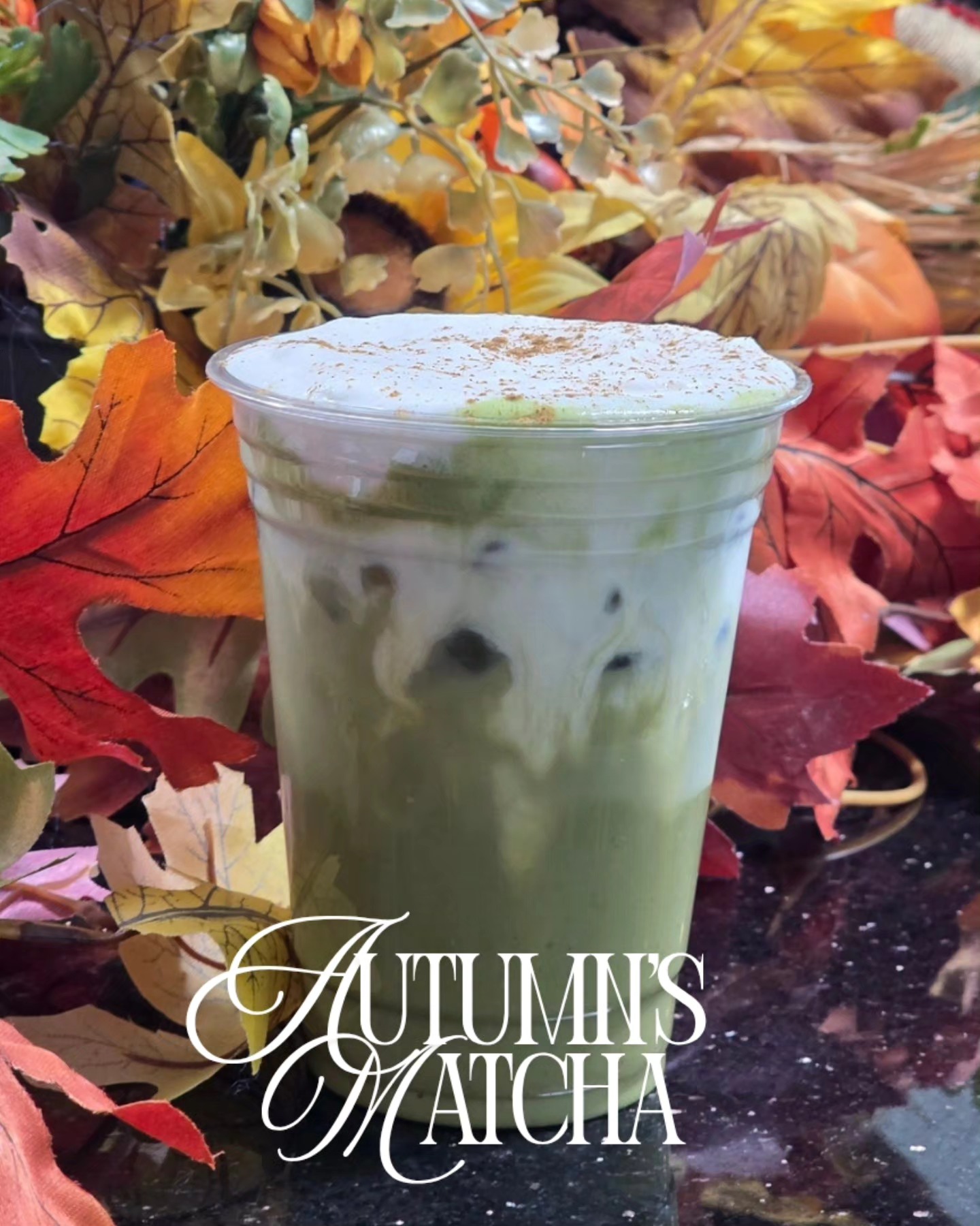 Monkey Dog Coffee Clovis