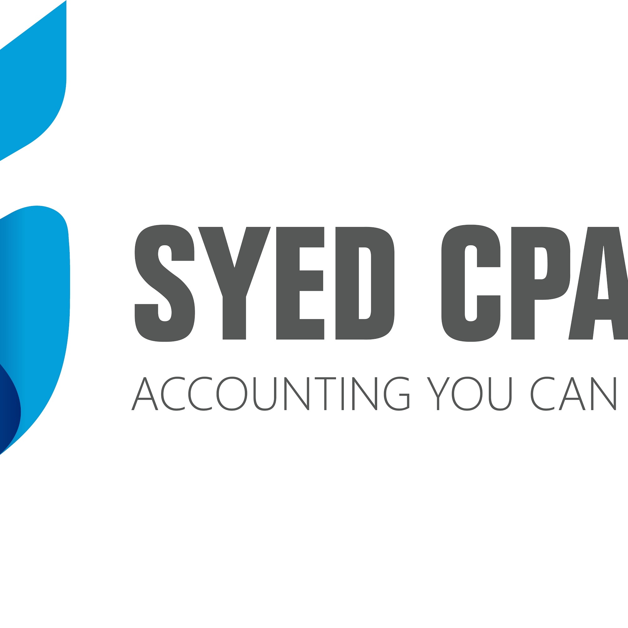 SYED CPA INC