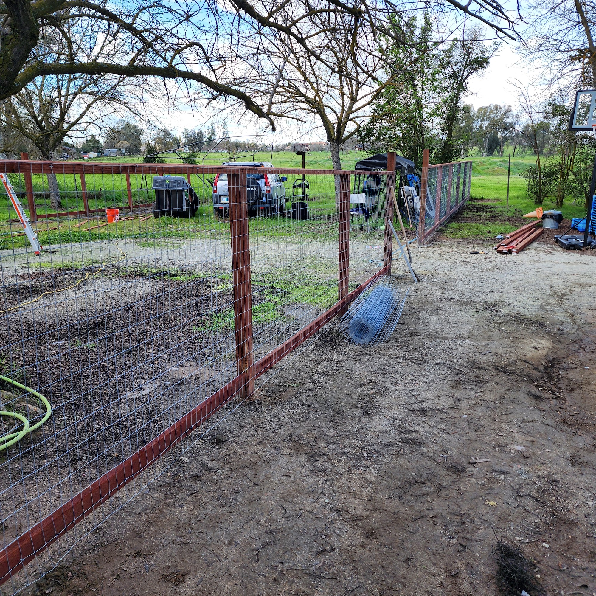 Dogspring Training Clovis