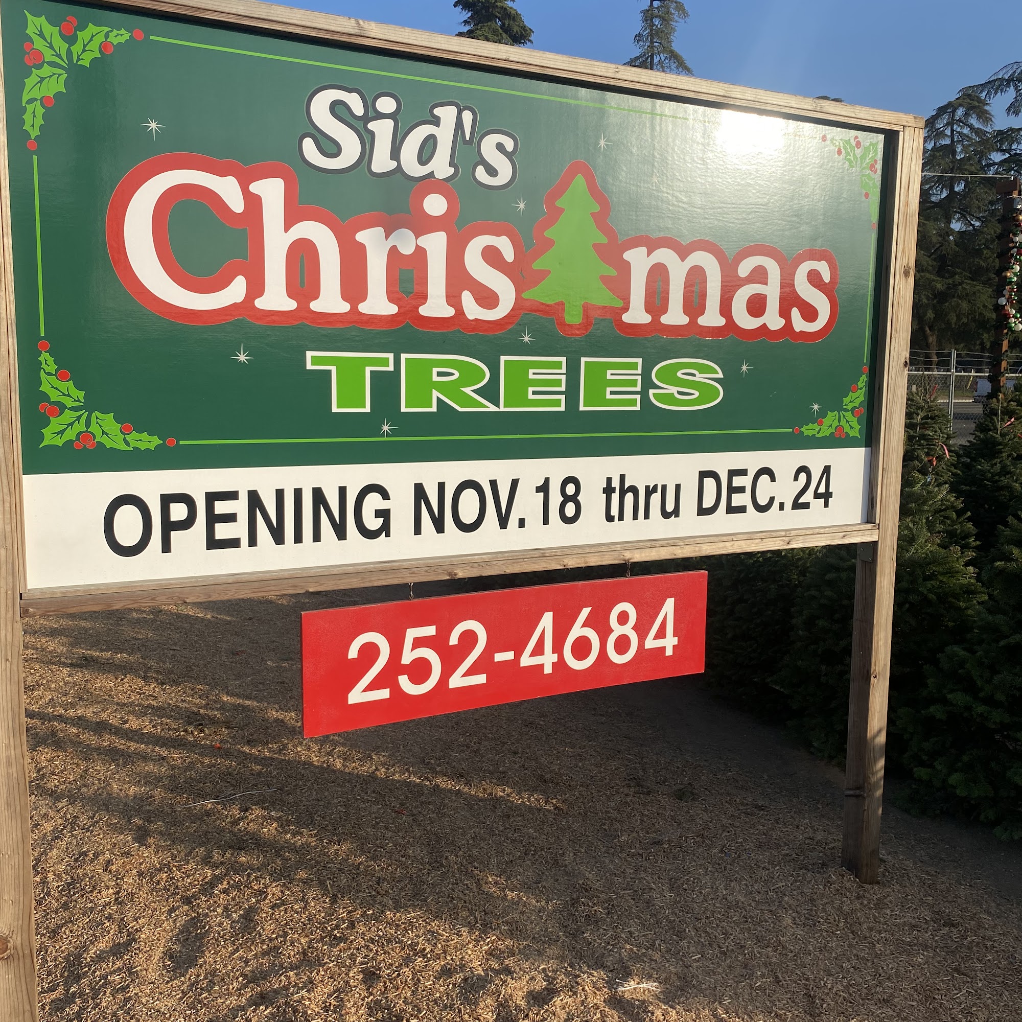 Sid‘s Christmas Tree’s Clovis