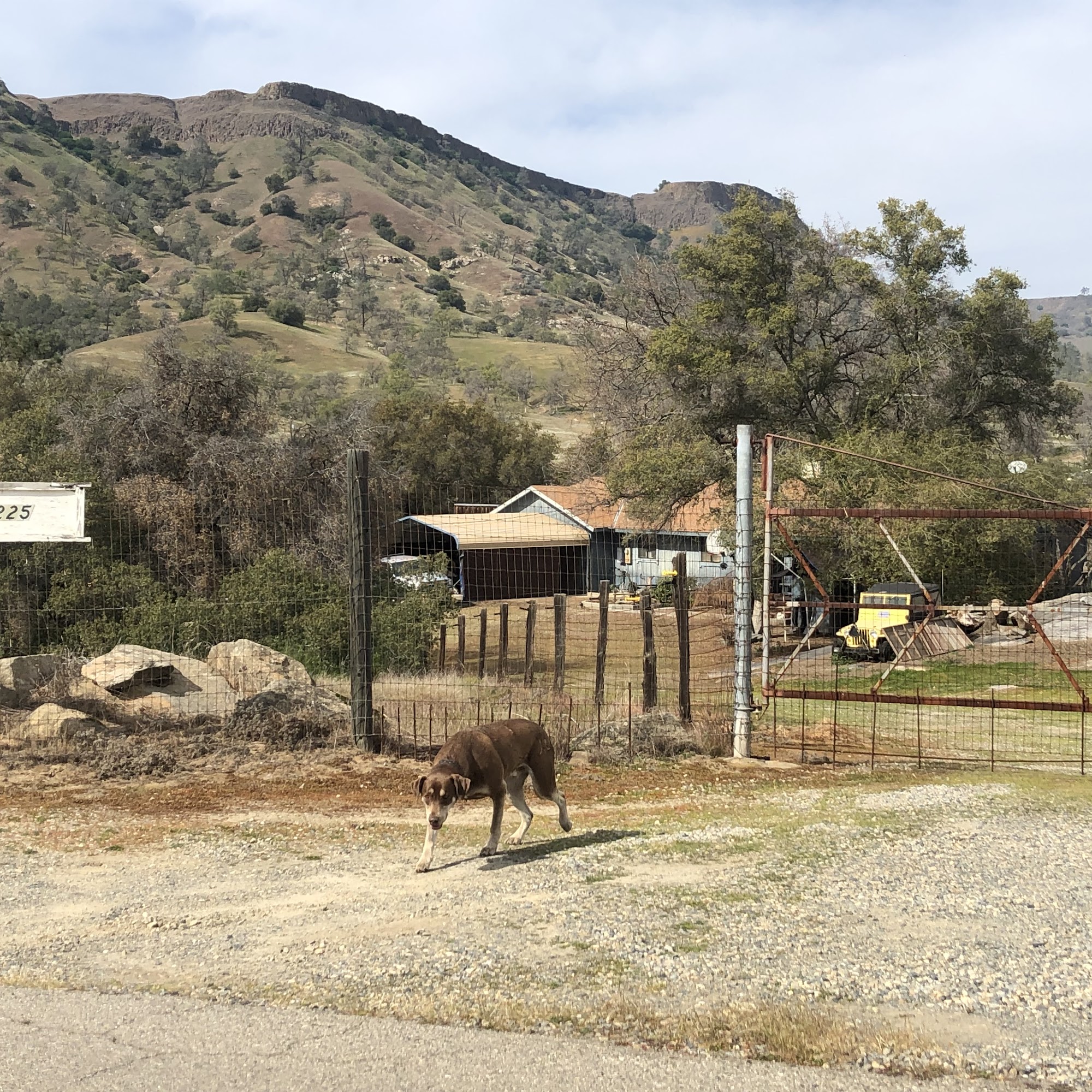 Schmidt's Leather & Iron Works Clovis