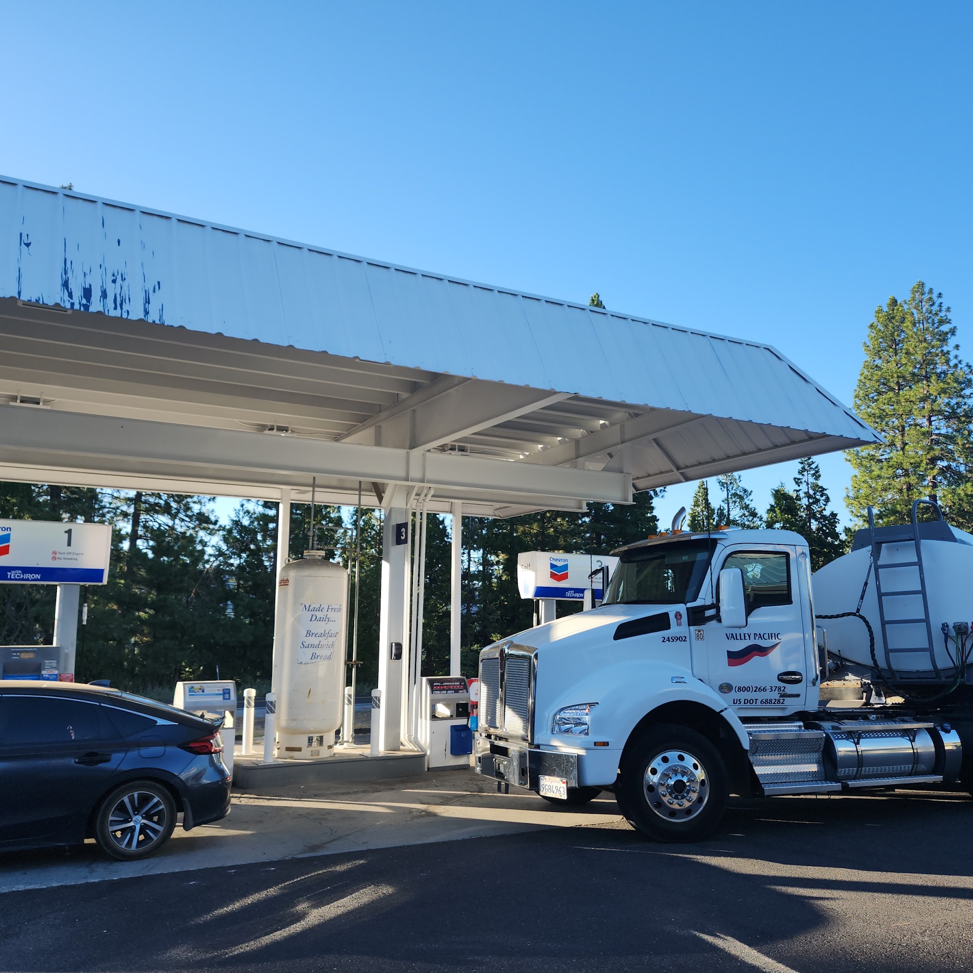 Chevron Cold Springs