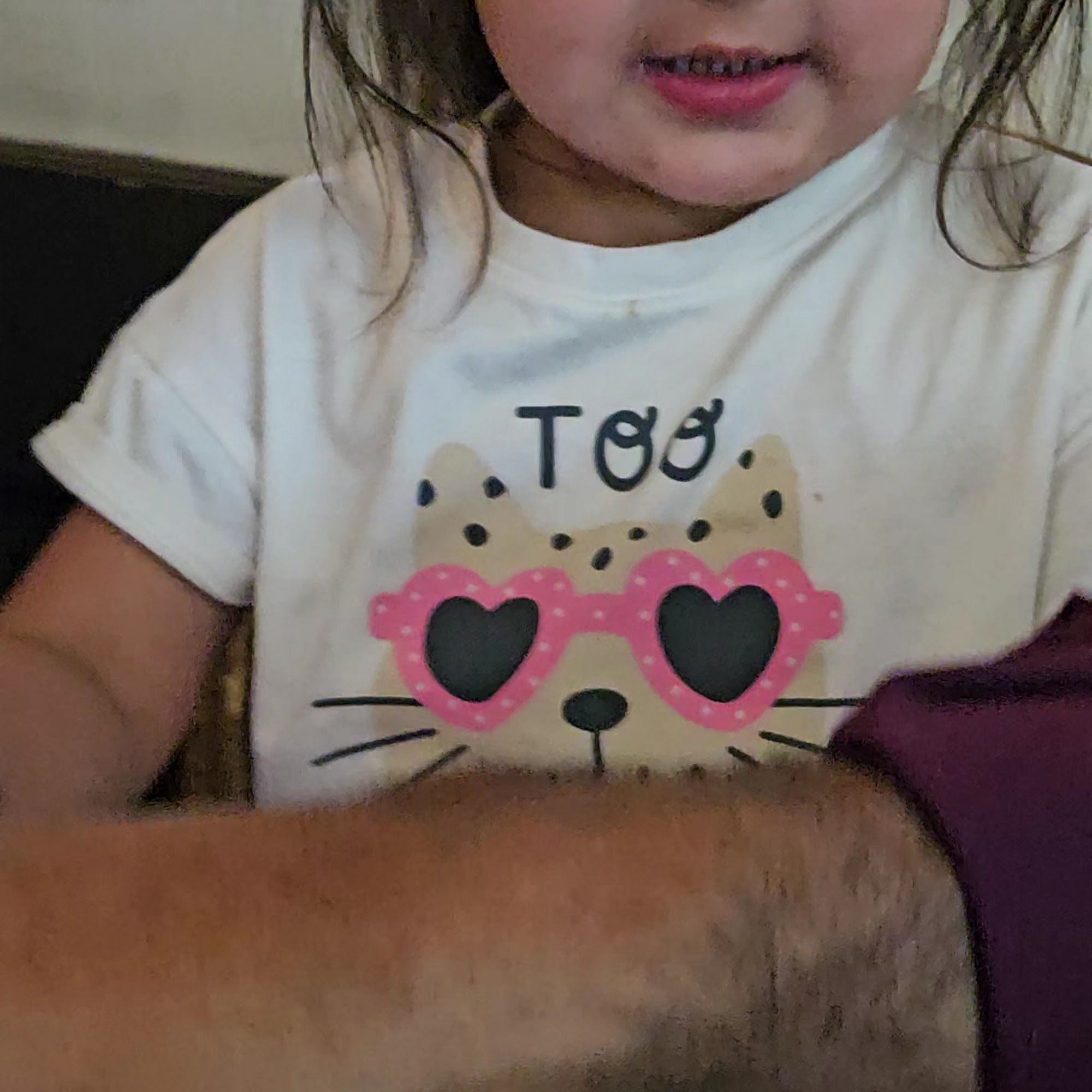 St Charles Saloon Columbia