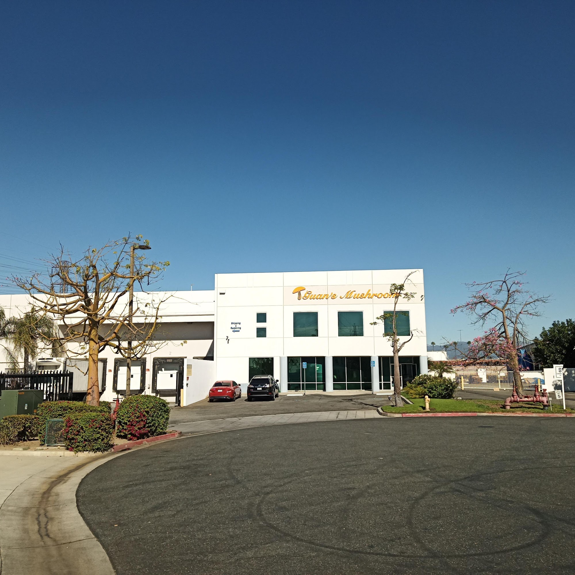 Guan's Mushroom Commerce